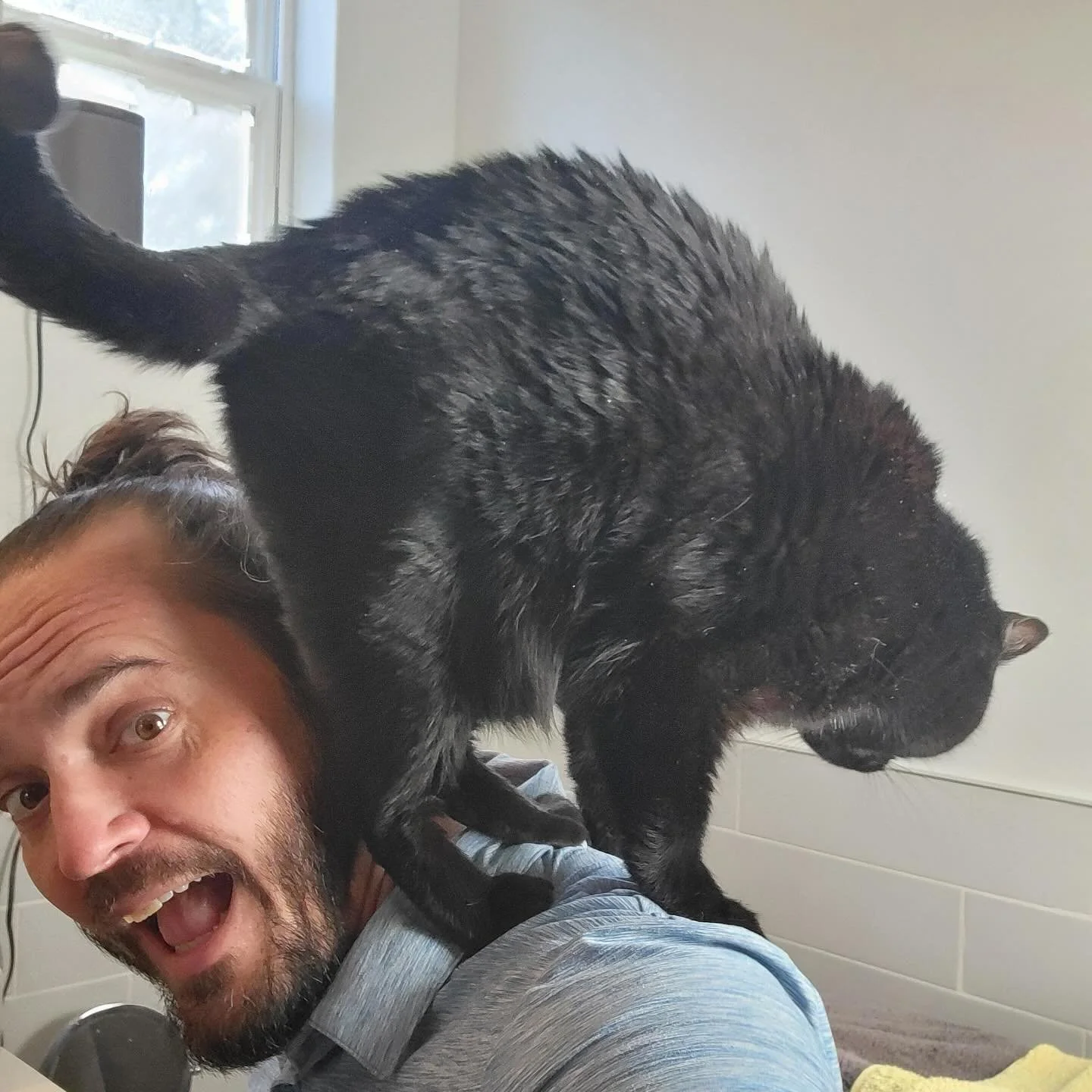 Happy National black cat appreciation day! Oh, also it&rsquo;s Robert&rsquo;s birthday. Happy birthday, baby!
🎂🐈&zwj;⬛