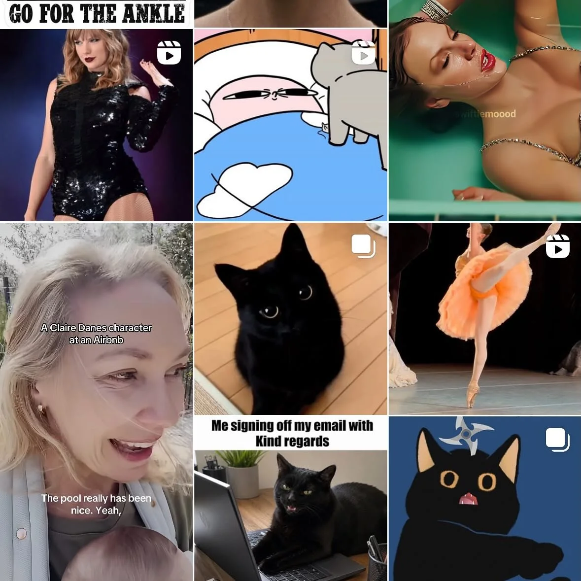 My IG algorithm:
1. Cats
2. Taylor Swift
3. Ballet
4. Comedy

Where is the wine?? I guess IG already knows I have that covered on my own&hellip;
