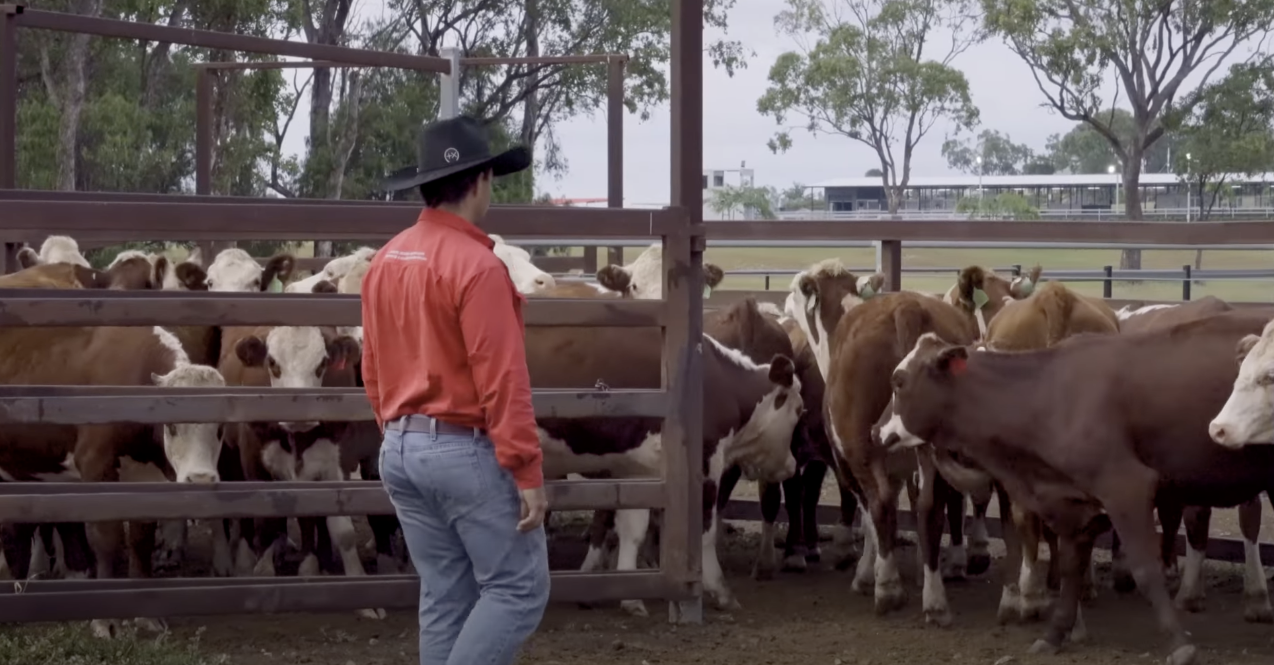 Moving Beyond Spreadsheets at Willinga Pastoral Co