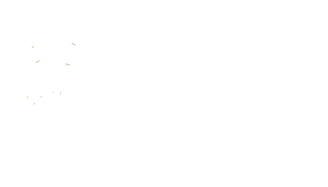 Venezolanas in Tech
