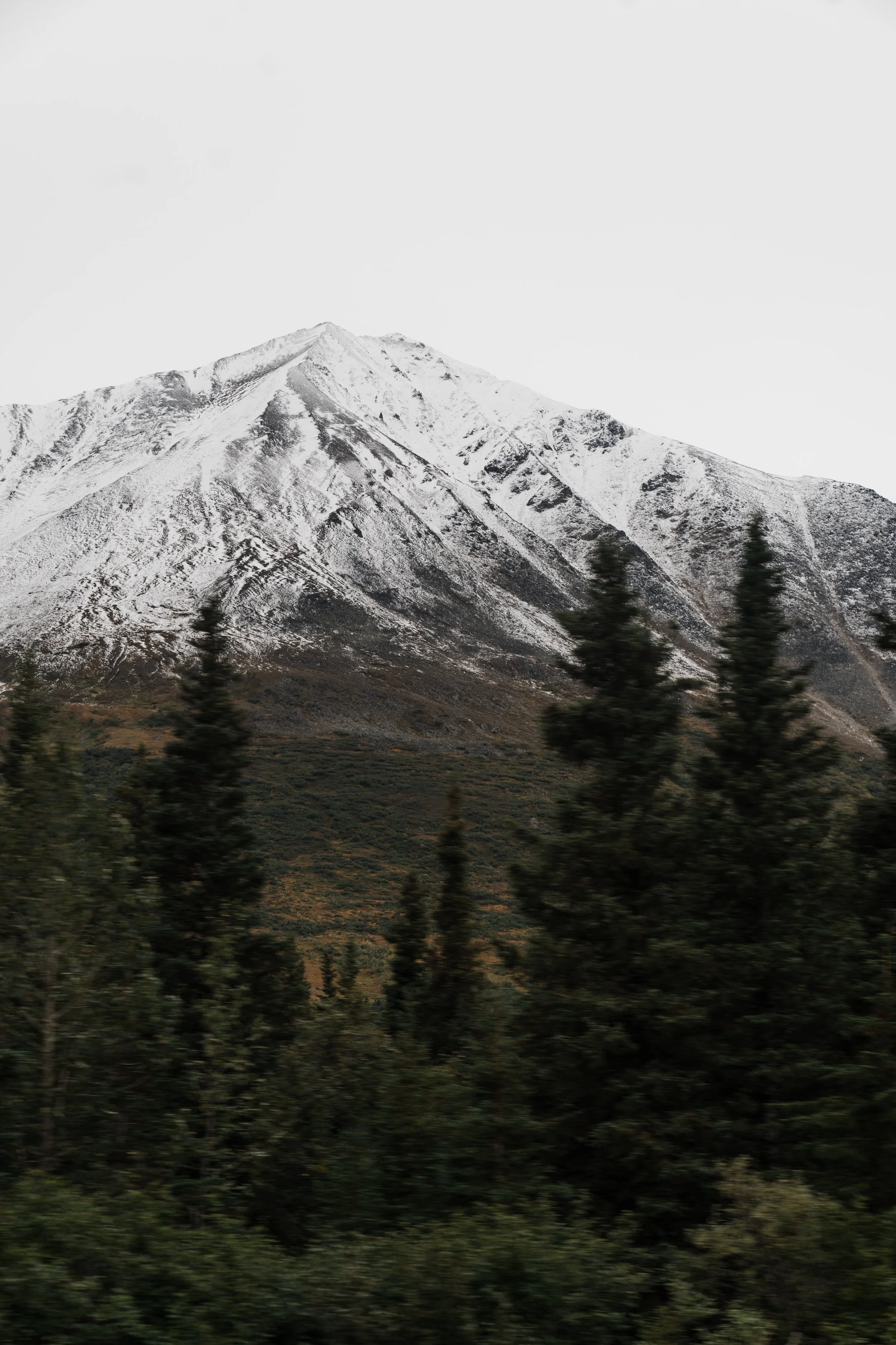 Alaska-187.JPG