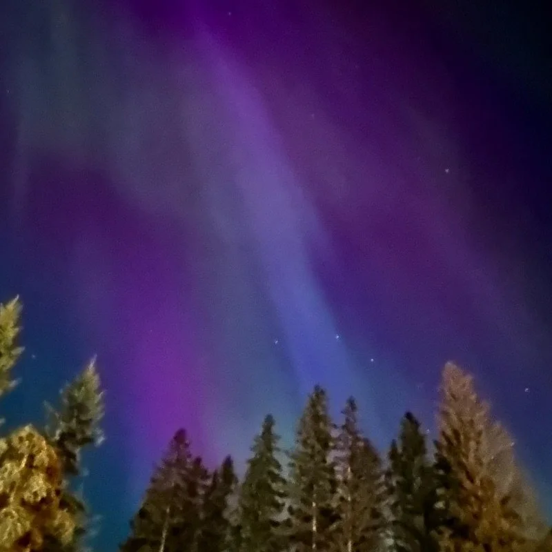 03b30742-14f3-44ad-a094-83a6177e9bd4 2.jpeg