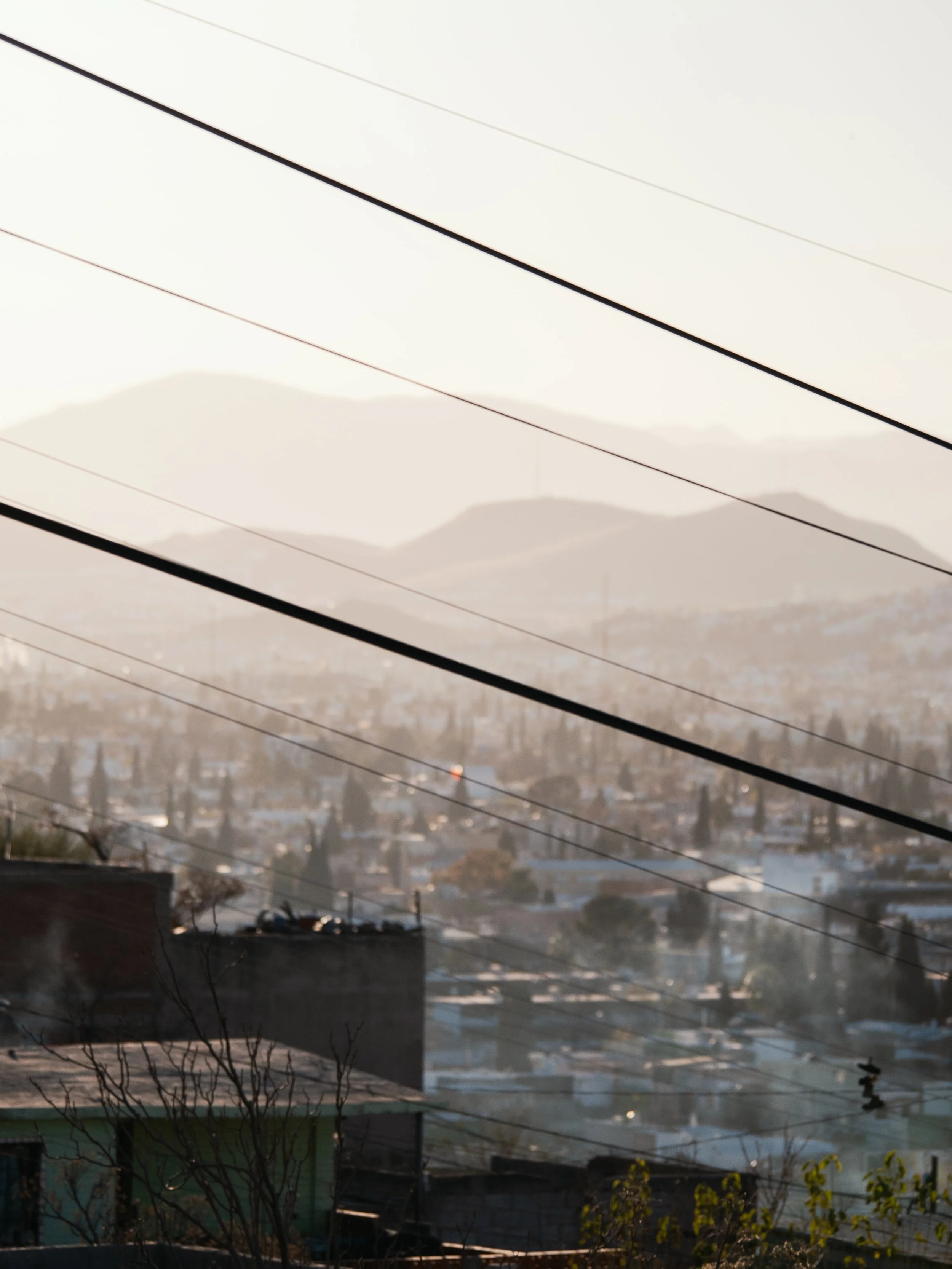 _1390038-1edited.jpg