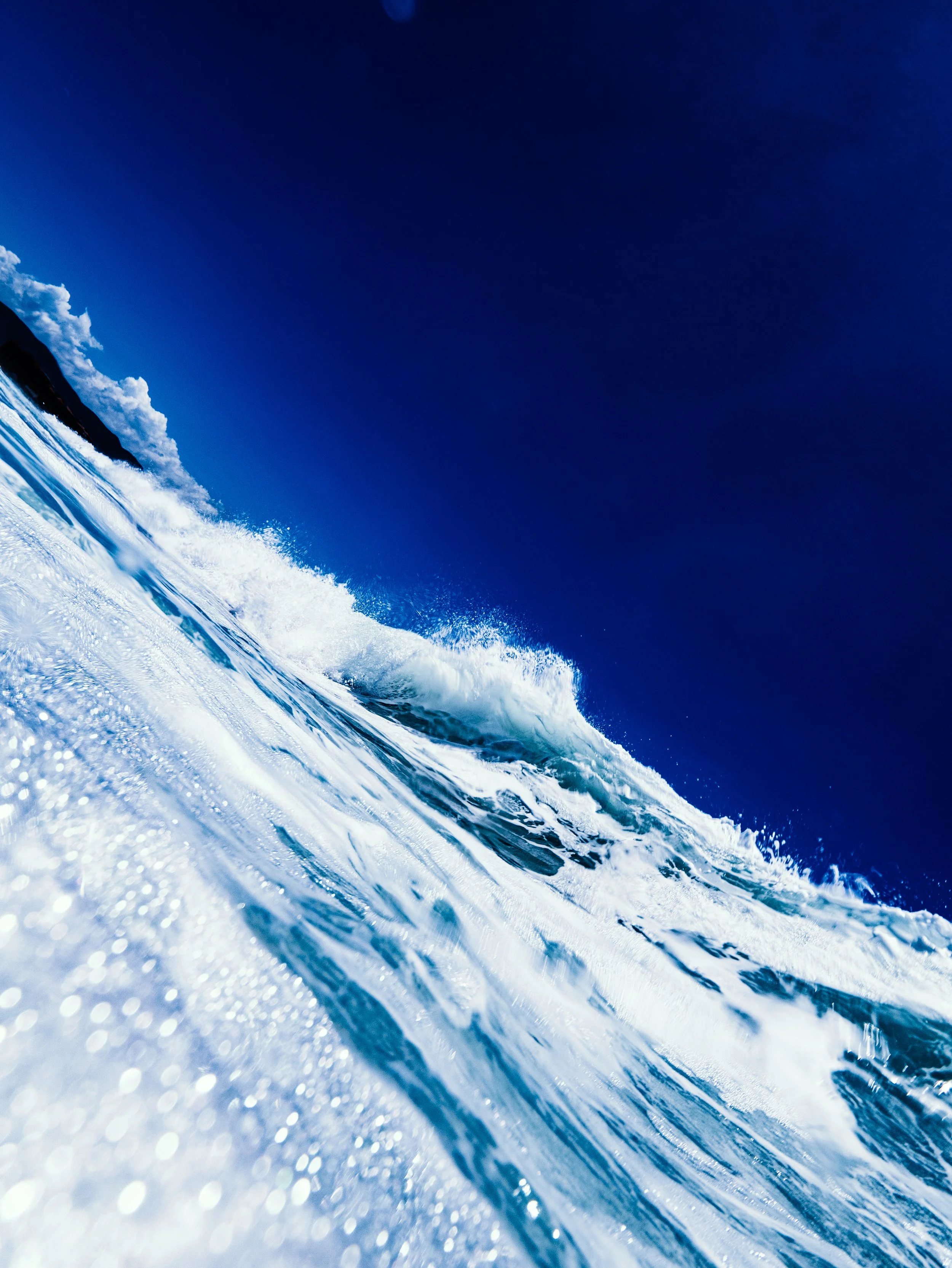 P1034163-1EDITED.jpg