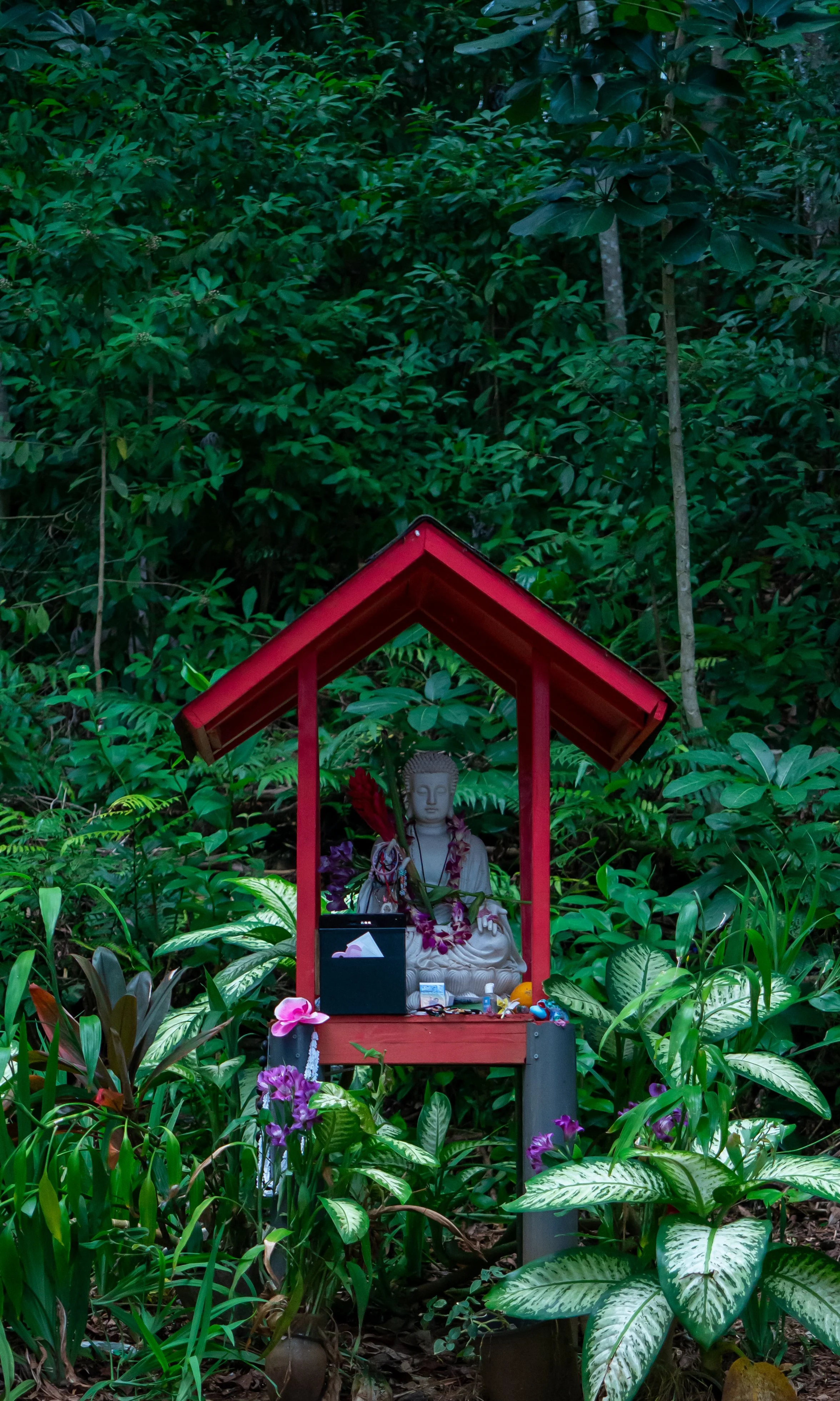 Raw Trips, DSC09158 - 1.jpg