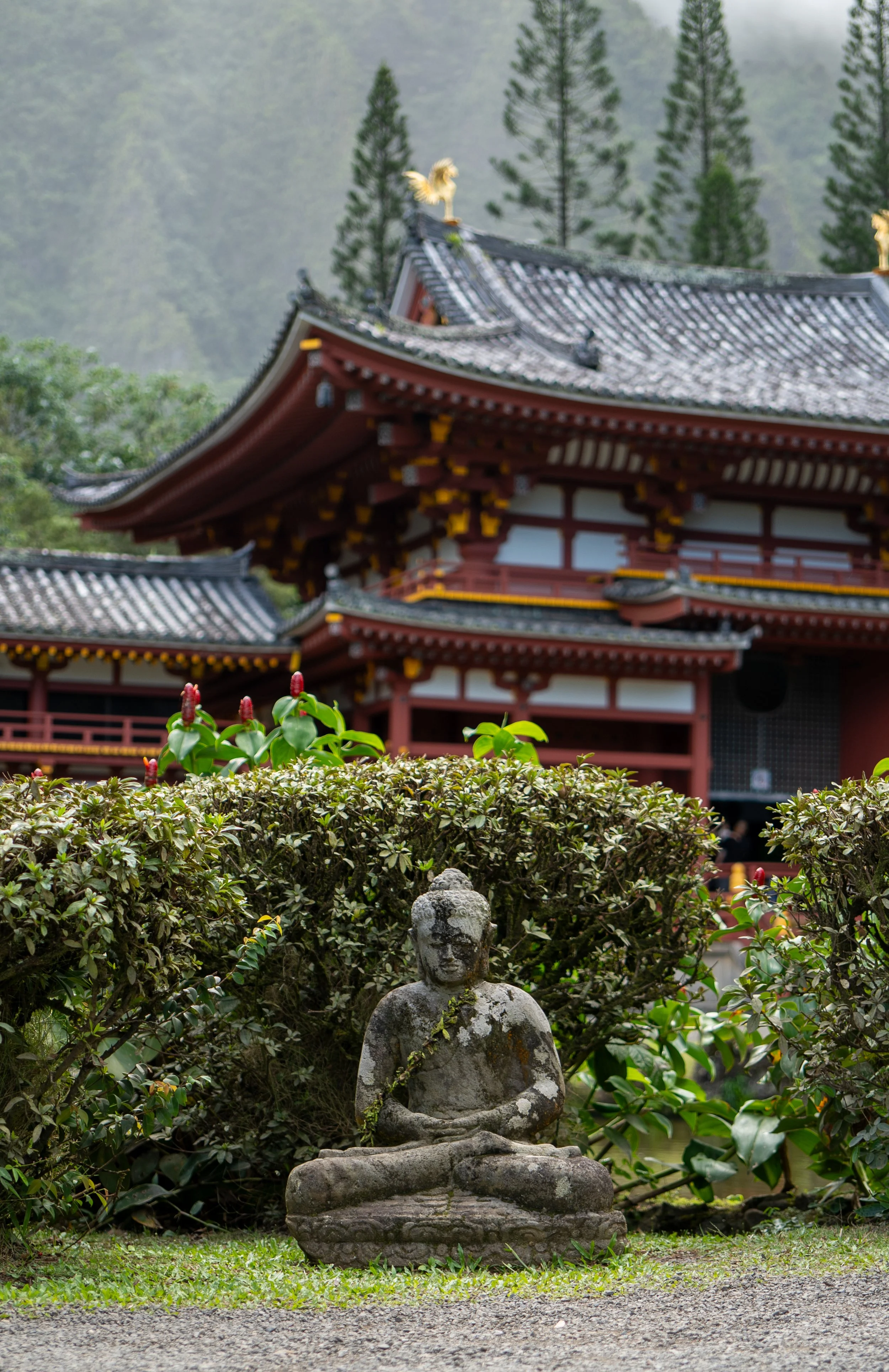 Raw Trips, DSC09028 - 1.jpg