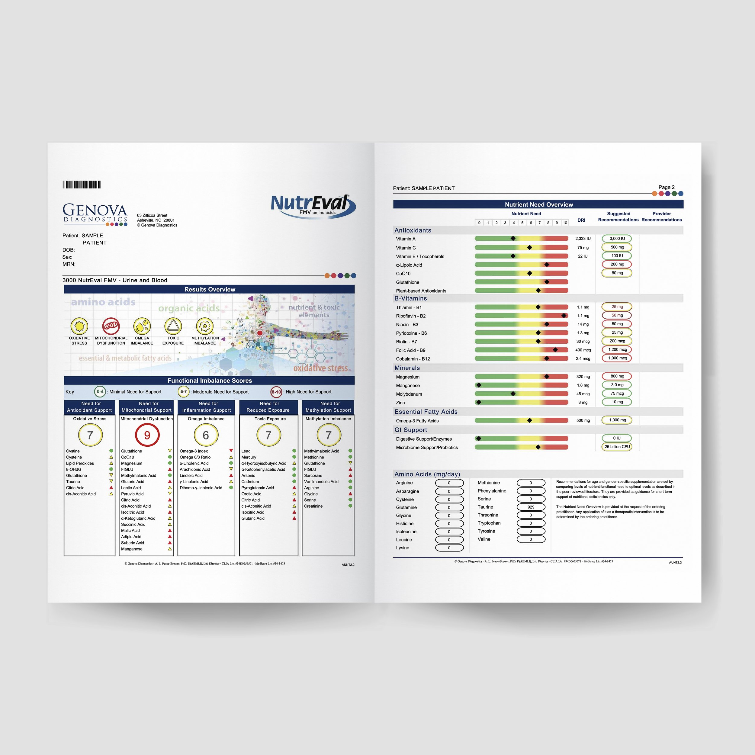 Nutreval FMV Sample Report Mock Up.jpg