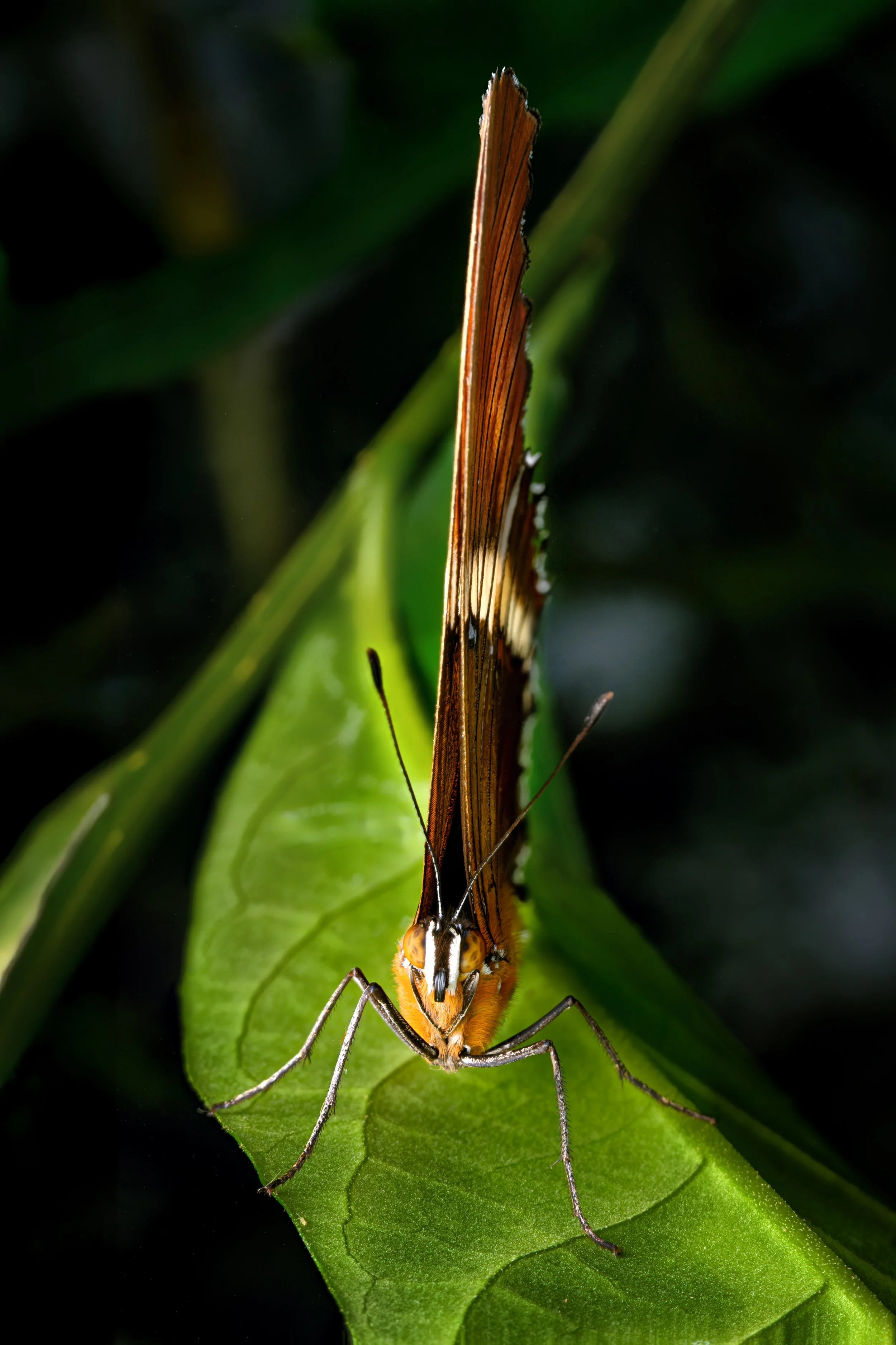 2026-02-03-21.13.43 ZS retouched_812c.jpg