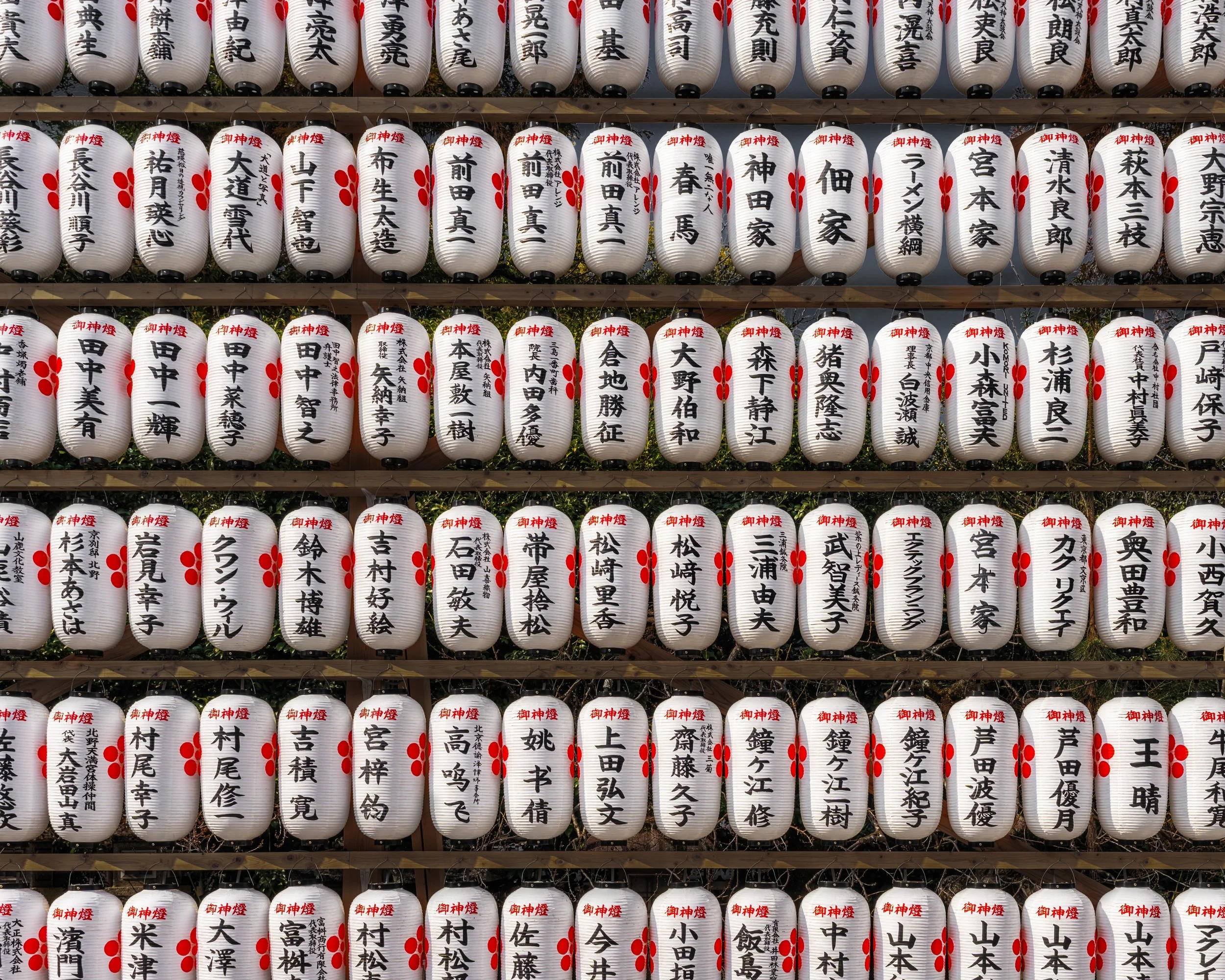 16x20 poster japan.jpg