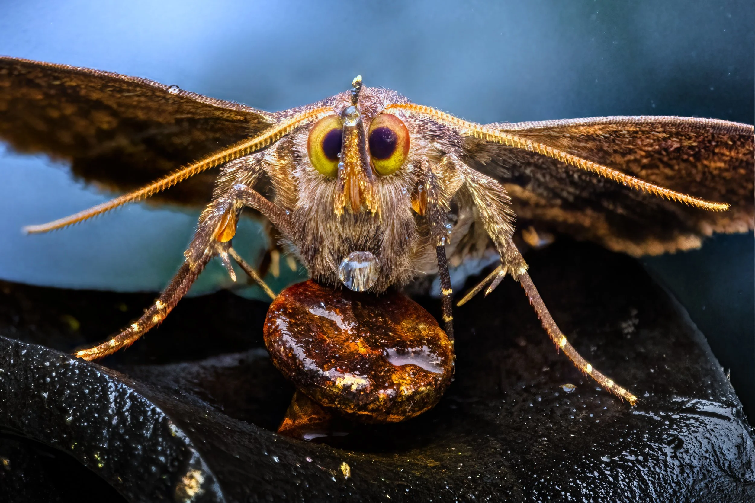 2026-02-02-21.07.49 ZS retouched_edit_812b.jpg