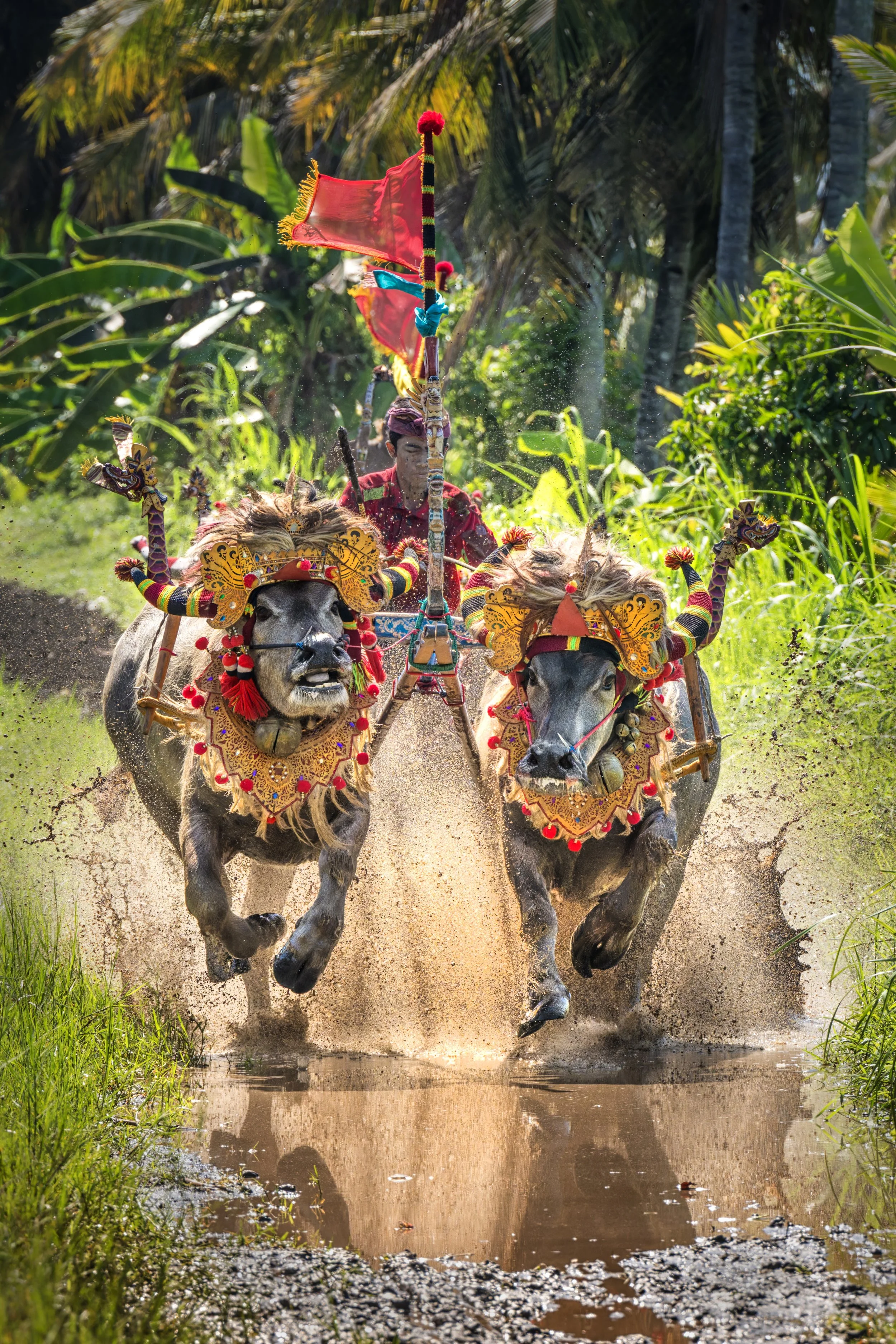 _A1A5161-ARW-DxO_DeepPRIME XD2e_812c.jpg