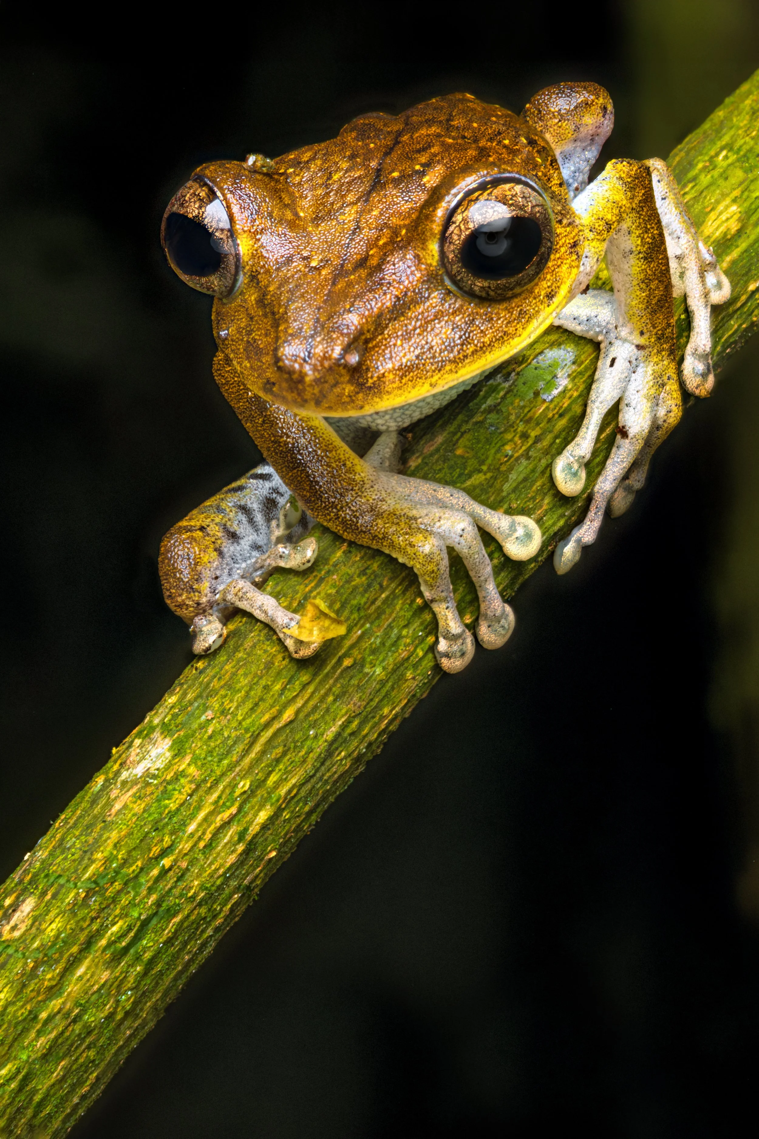 2026-02-04-08.32.53 ZS retouched_812.jpg