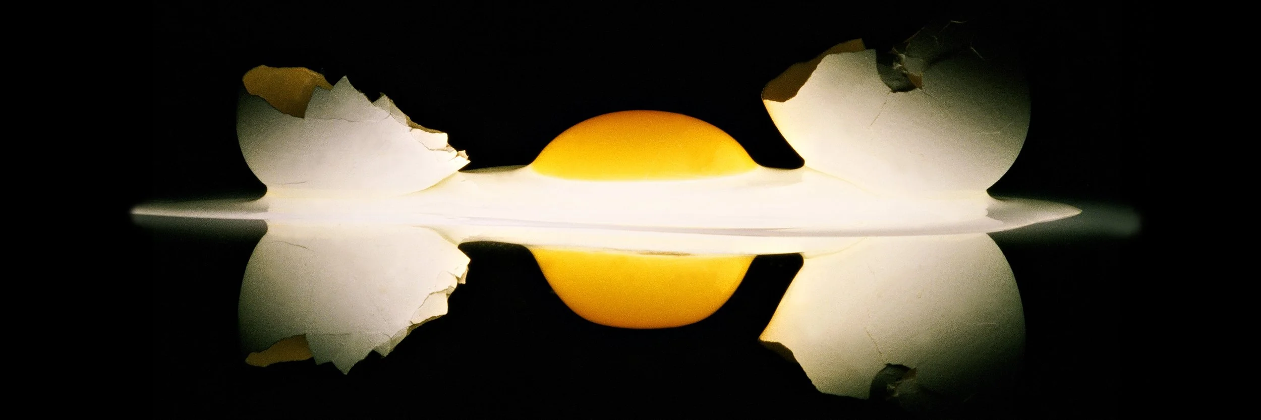 egg panorama.jpg