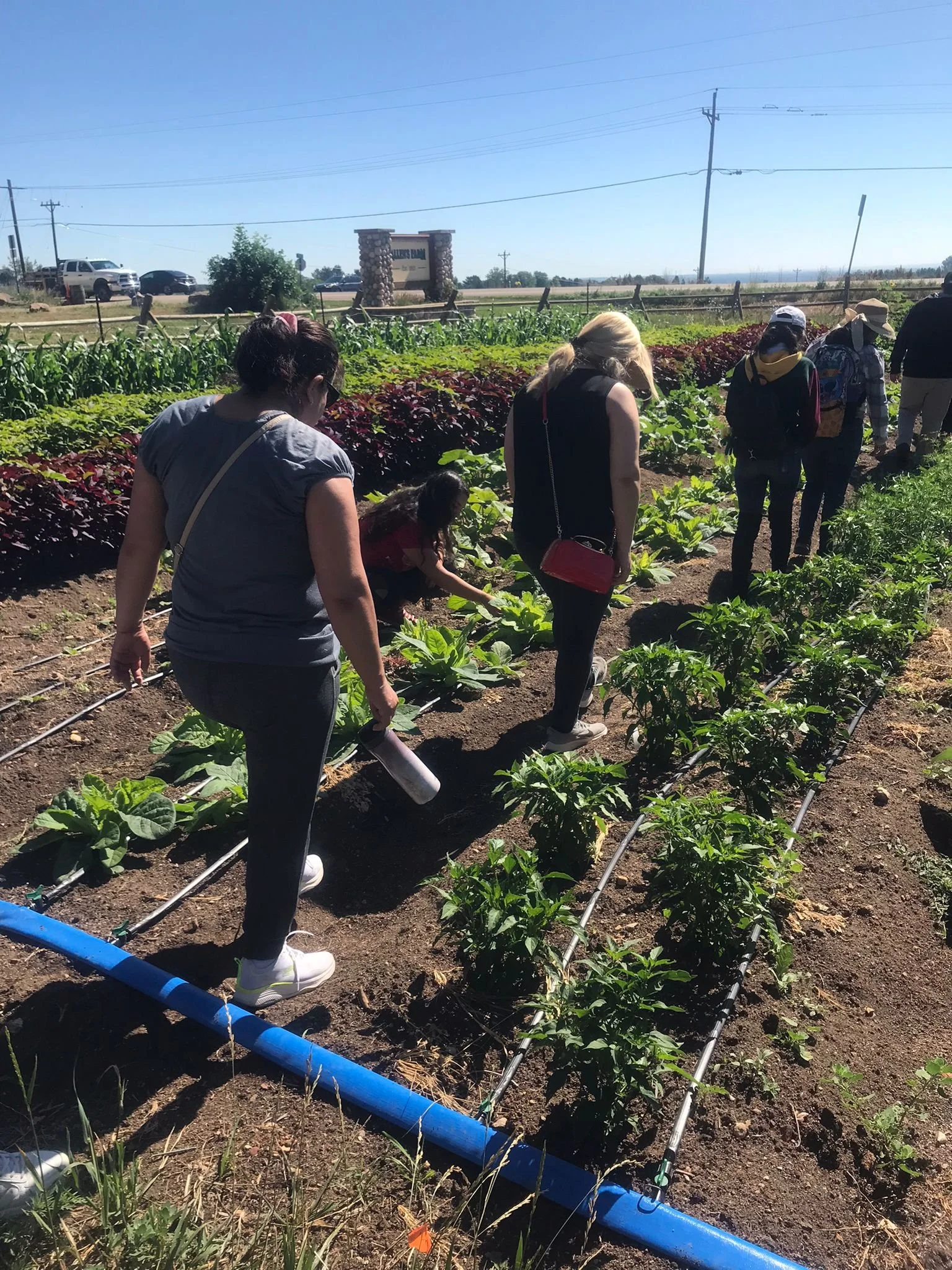 WhatsApp Image 2022-07-08 at 1.31.34 PM (1).jpeg