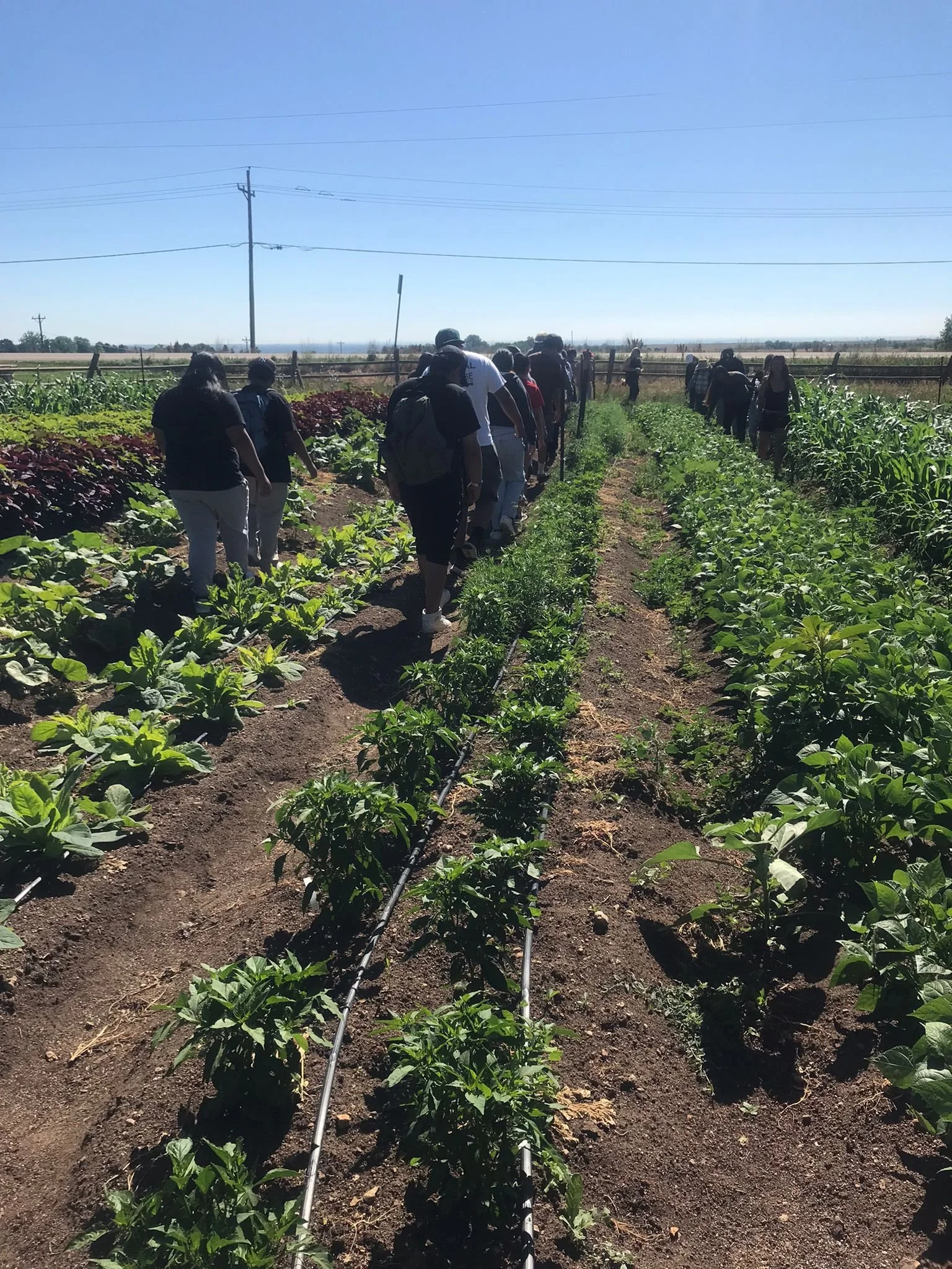 WhatsApp Image 2022-07-08 at 1.31.32 PM (1).jpeg