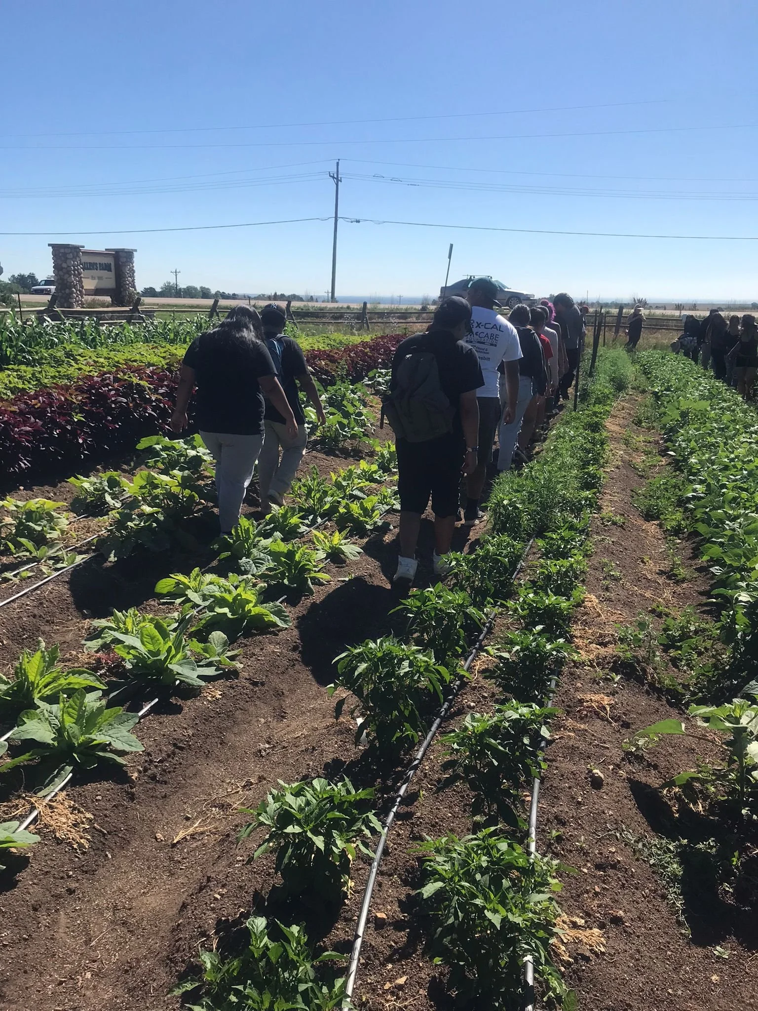 WhatsApp Image 2022-07-08 at 1.31.34 PM.jpeg