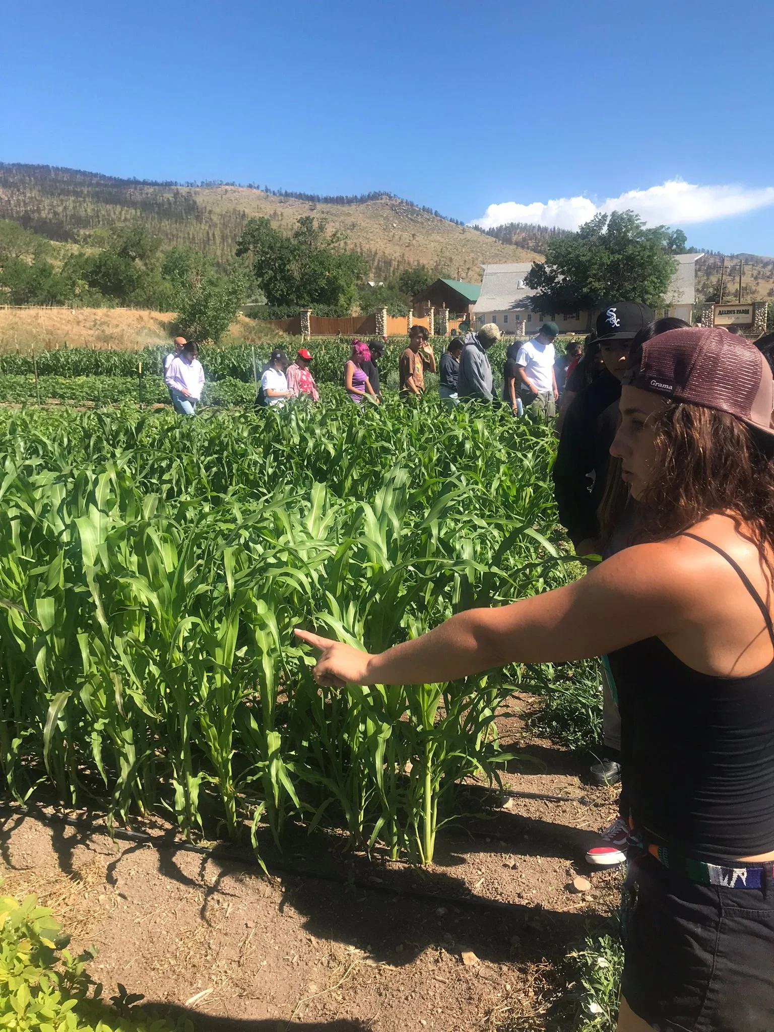 WhatsApp Image 2022-07-08 at 1.31.29 PM (1).jpeg