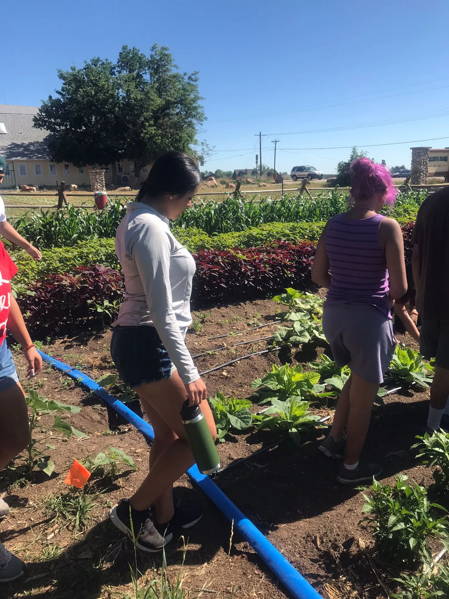 WhatsApp Image 2022-07-08 at 1.31.33 PM.jpeg