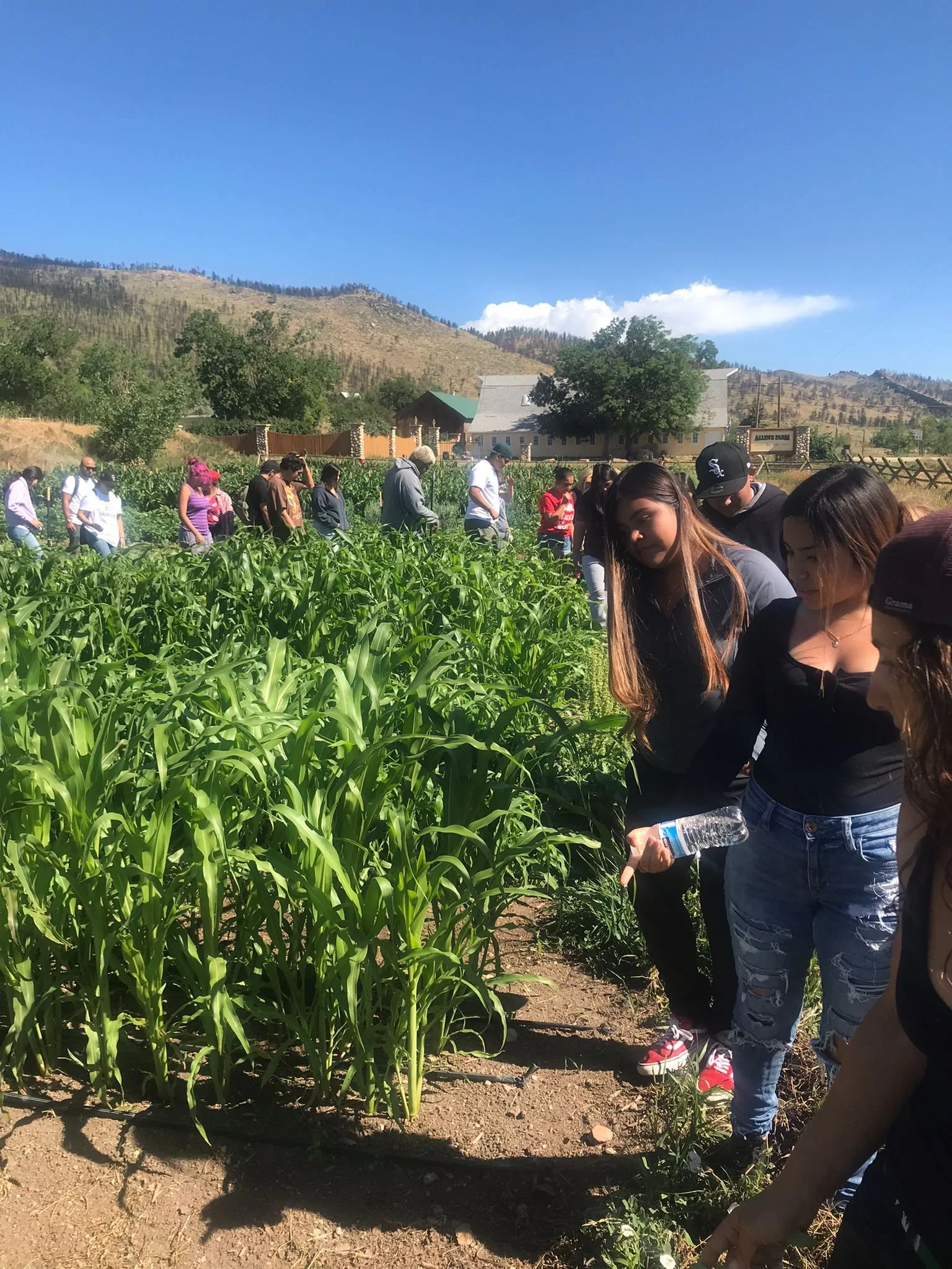 WhatsApp Image 2022-07-08 at 1.31.29 PM.jpeg