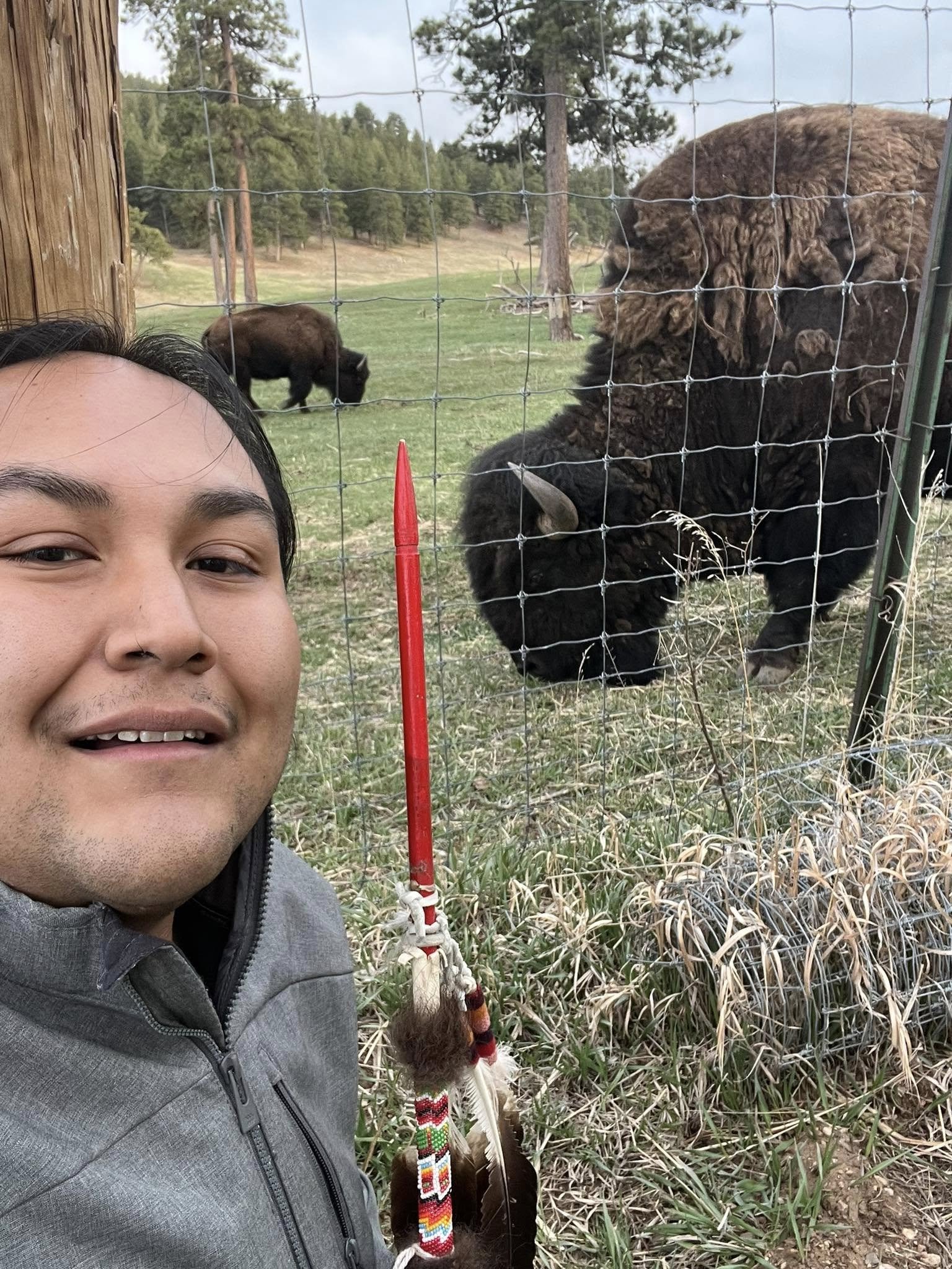 Bison_Teaching_2.jpg
