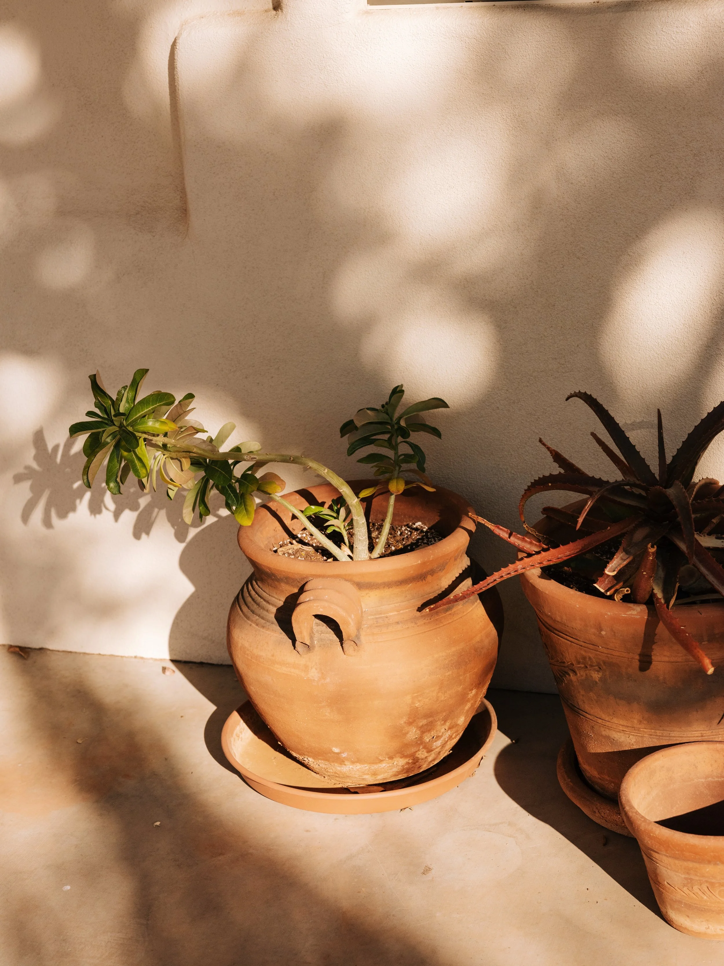 Small group with teacher