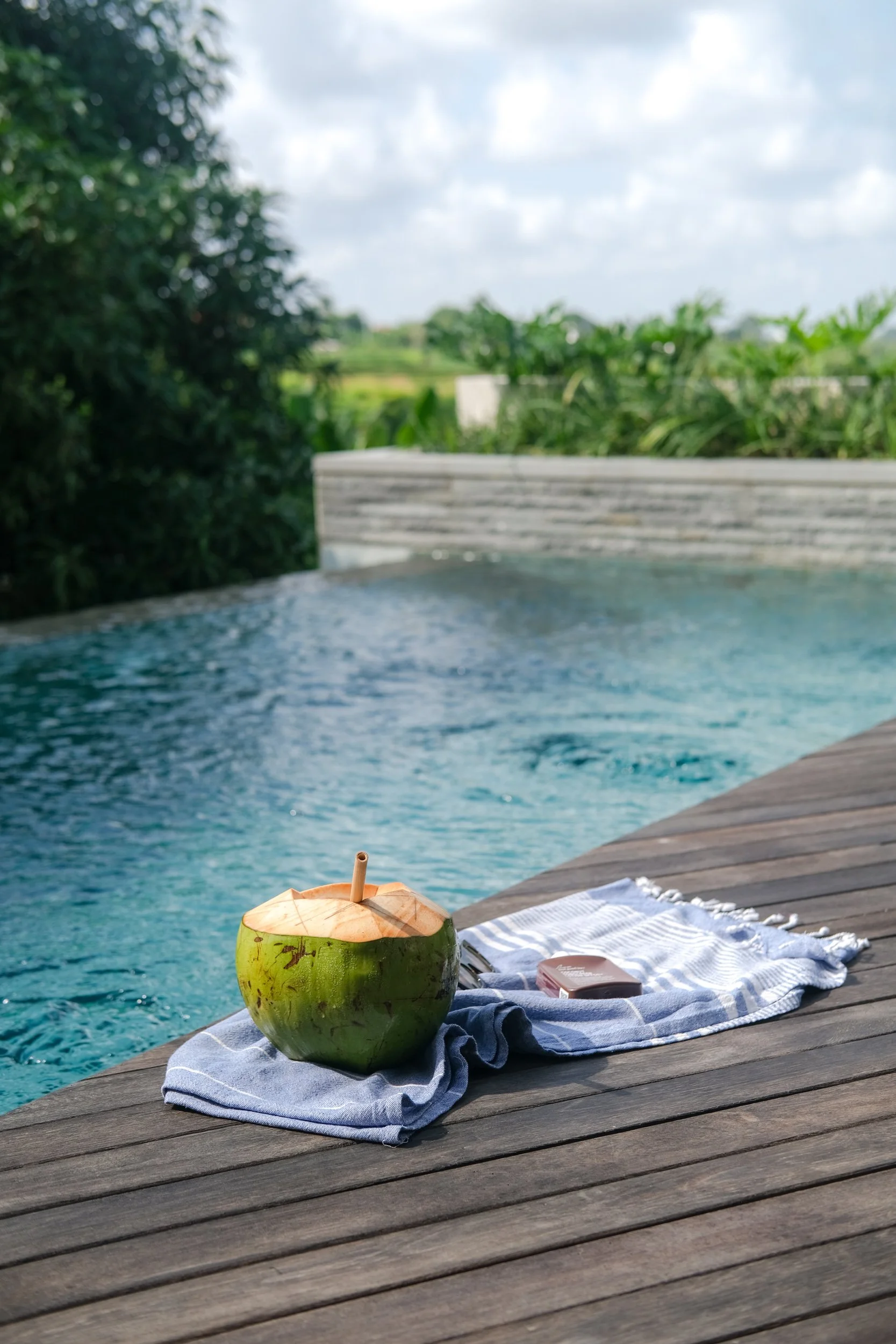 ARCHITECTURAL TROPICAL VILLA ABOVE THE RICE FIELDS - 3 BEDROOM - NYANYI BEACH - Bali - for - sale