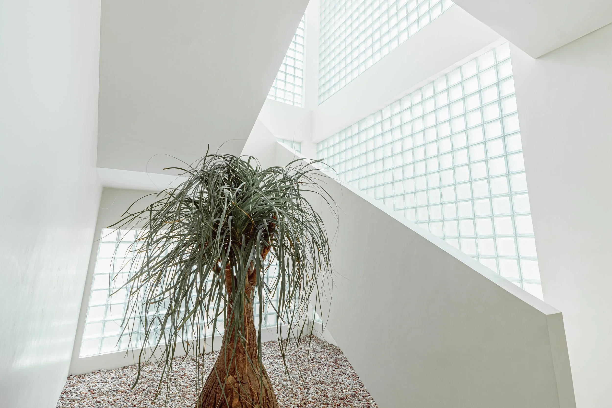 OCEAN VIEW VILLA NEXT TO DREAMLAND BEACH - 4 BEDROOM - BINGIN