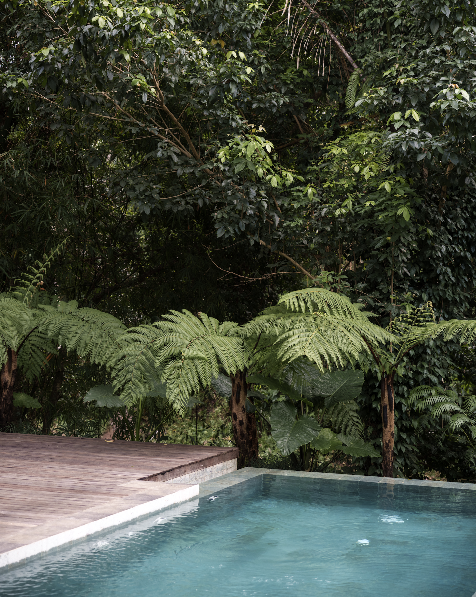 Capture d’écran 2026-02-01 à 21.03.37.png