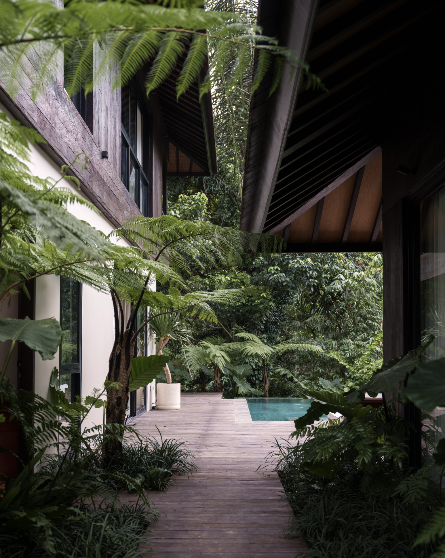 Capture d’écran 2026-02-01 à 21.03.54.png