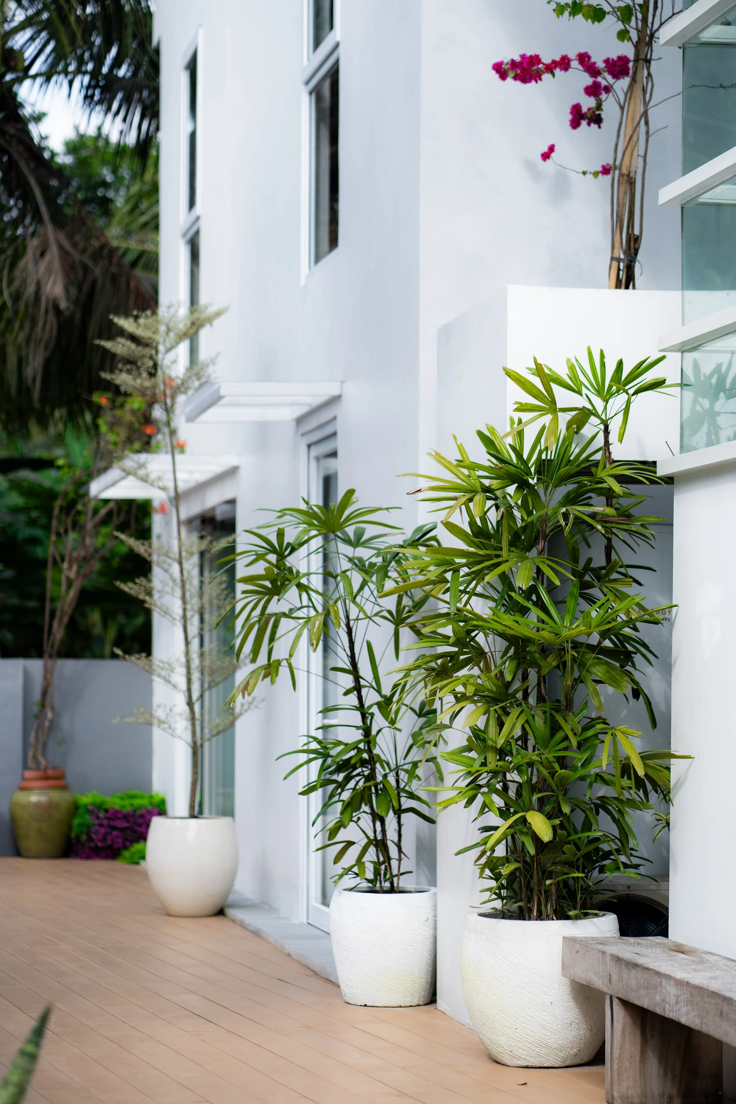 CONTEMPORARY SACTUARY FRAMED BY NATURE - 6 BEDROOM - UBUD