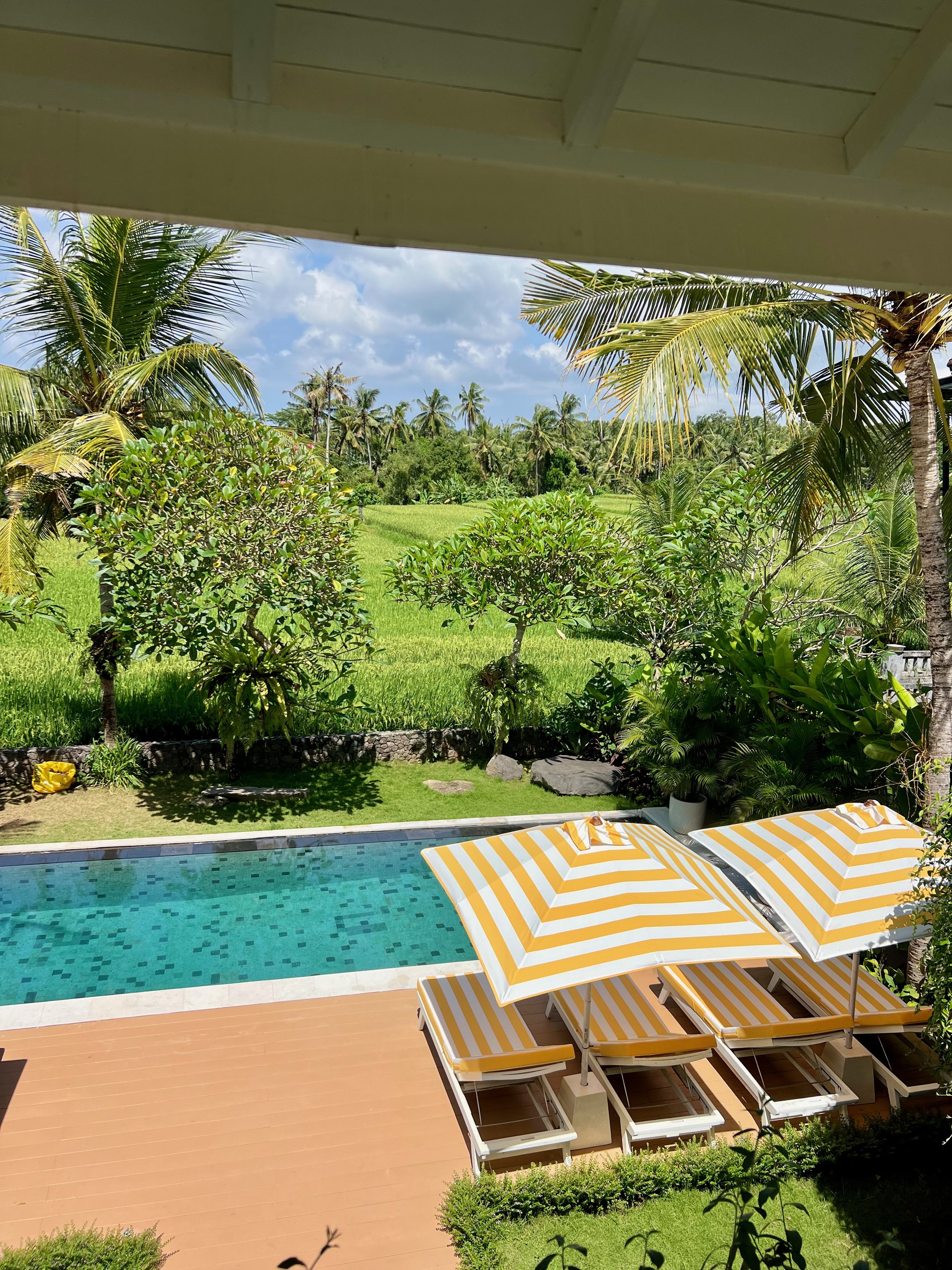 CONTEMPORARY SACTUARY FRAMED BY NATURE - 6 BEDROOM - UBUD