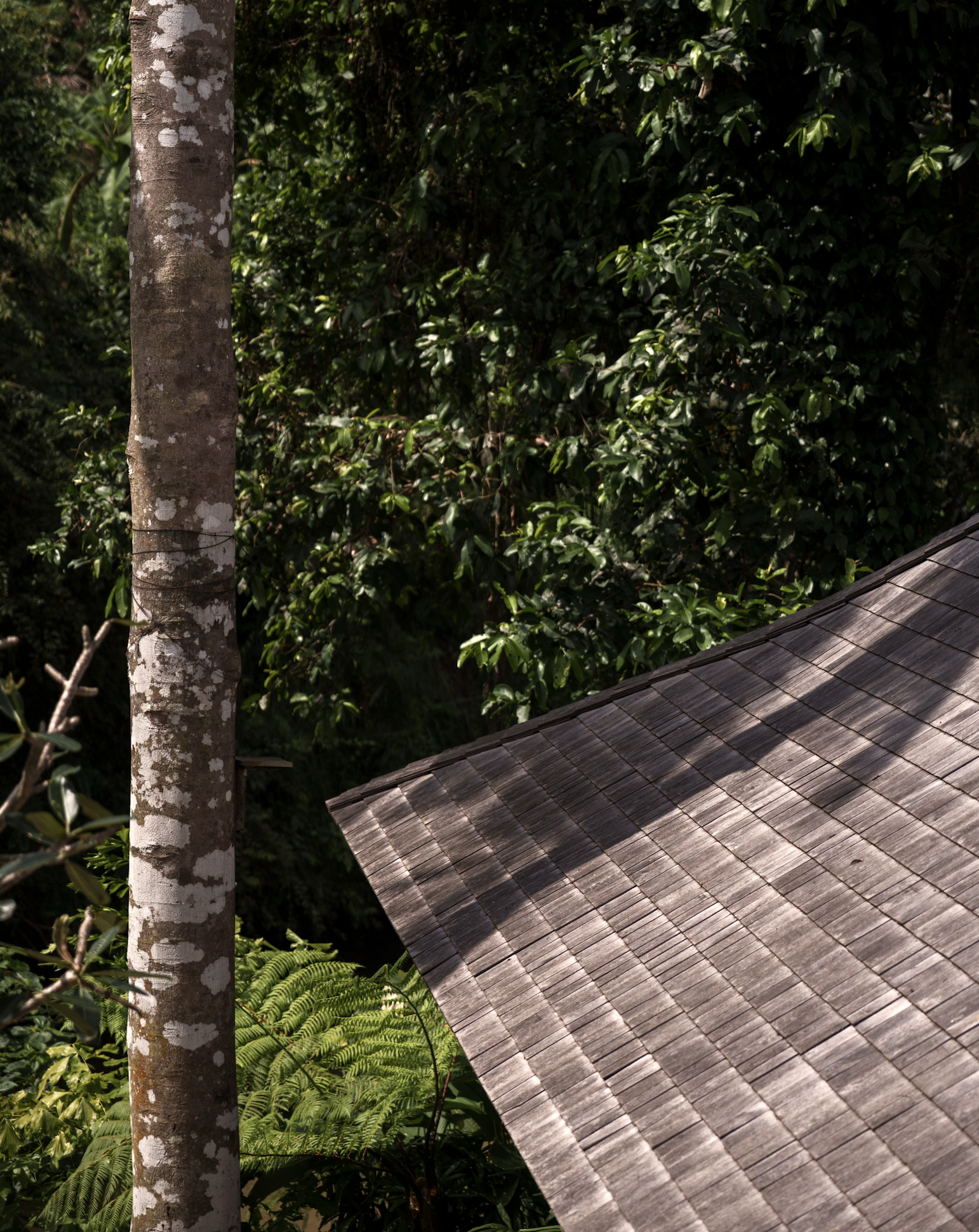 Capture d’écran 2026-02-01 à 21.08.09.png