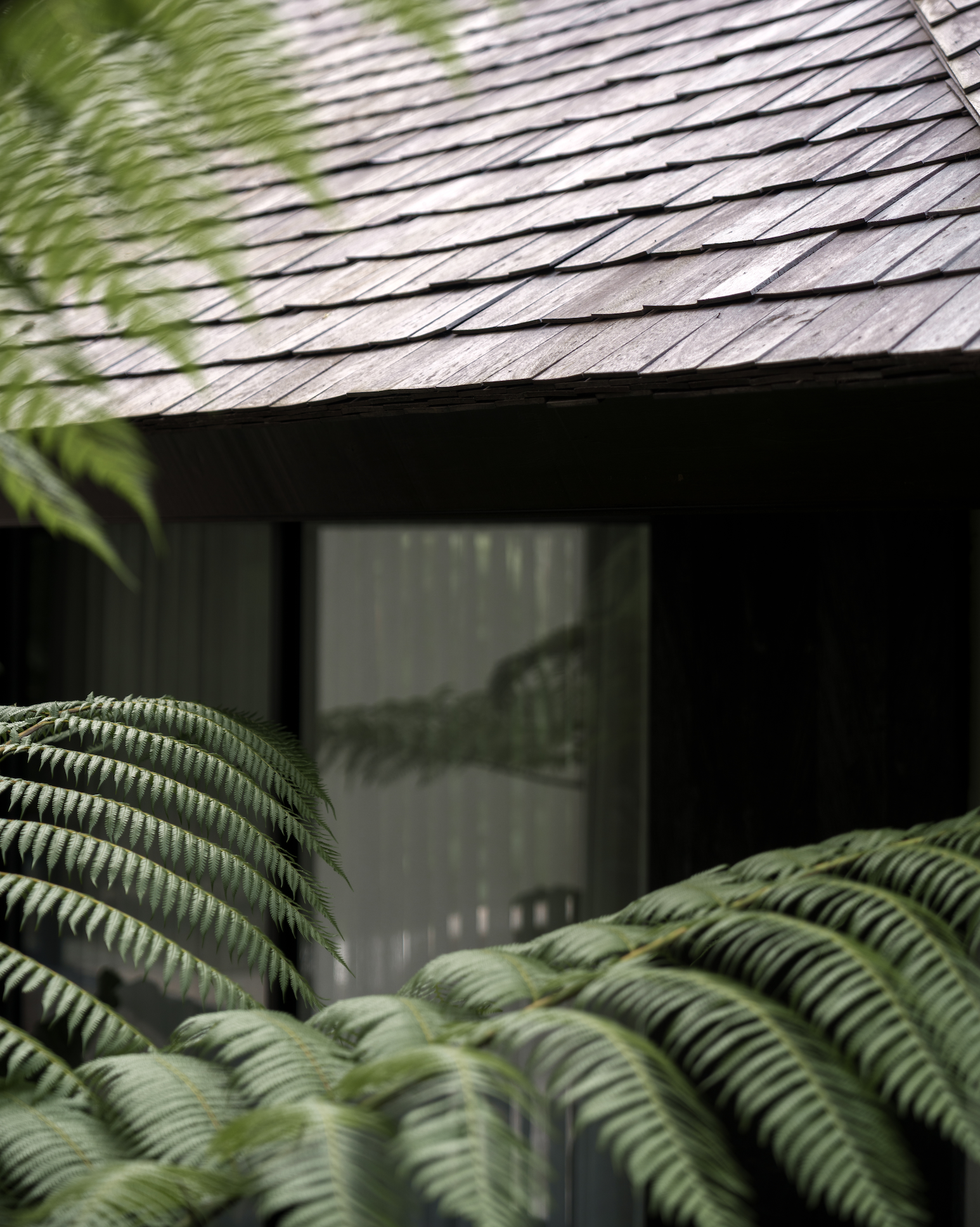 Capture d’écran 2026-02-01 à 21.04.22.png