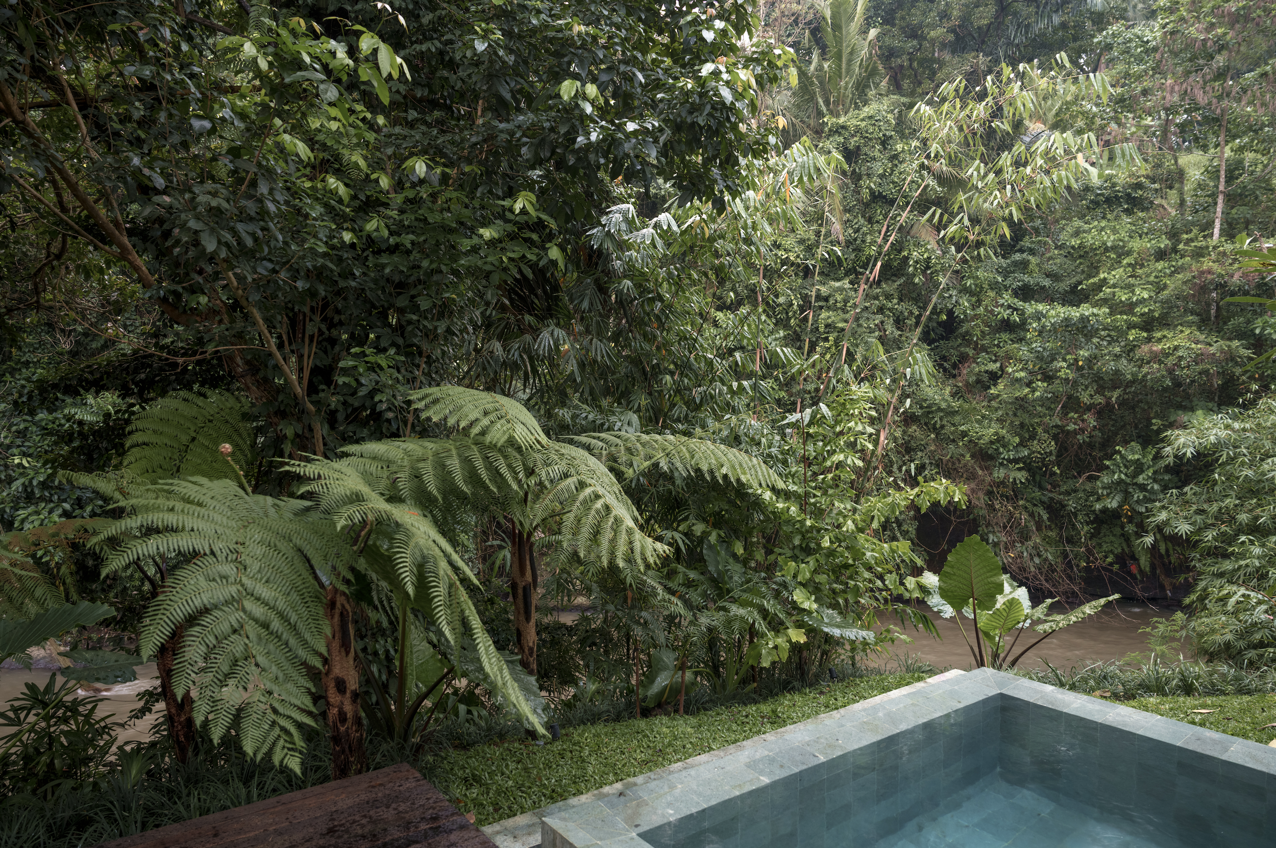 Capture d’écran 2026-02-01 à 20.59.32.png