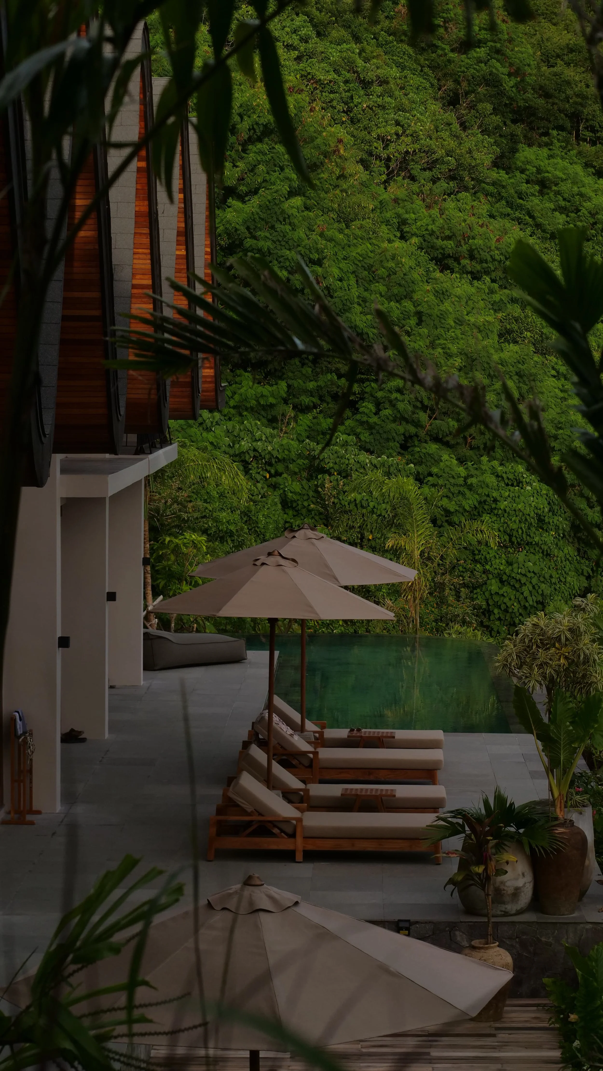 WhatsApp Image 2026-01-05 at 20.14.50.jpeg