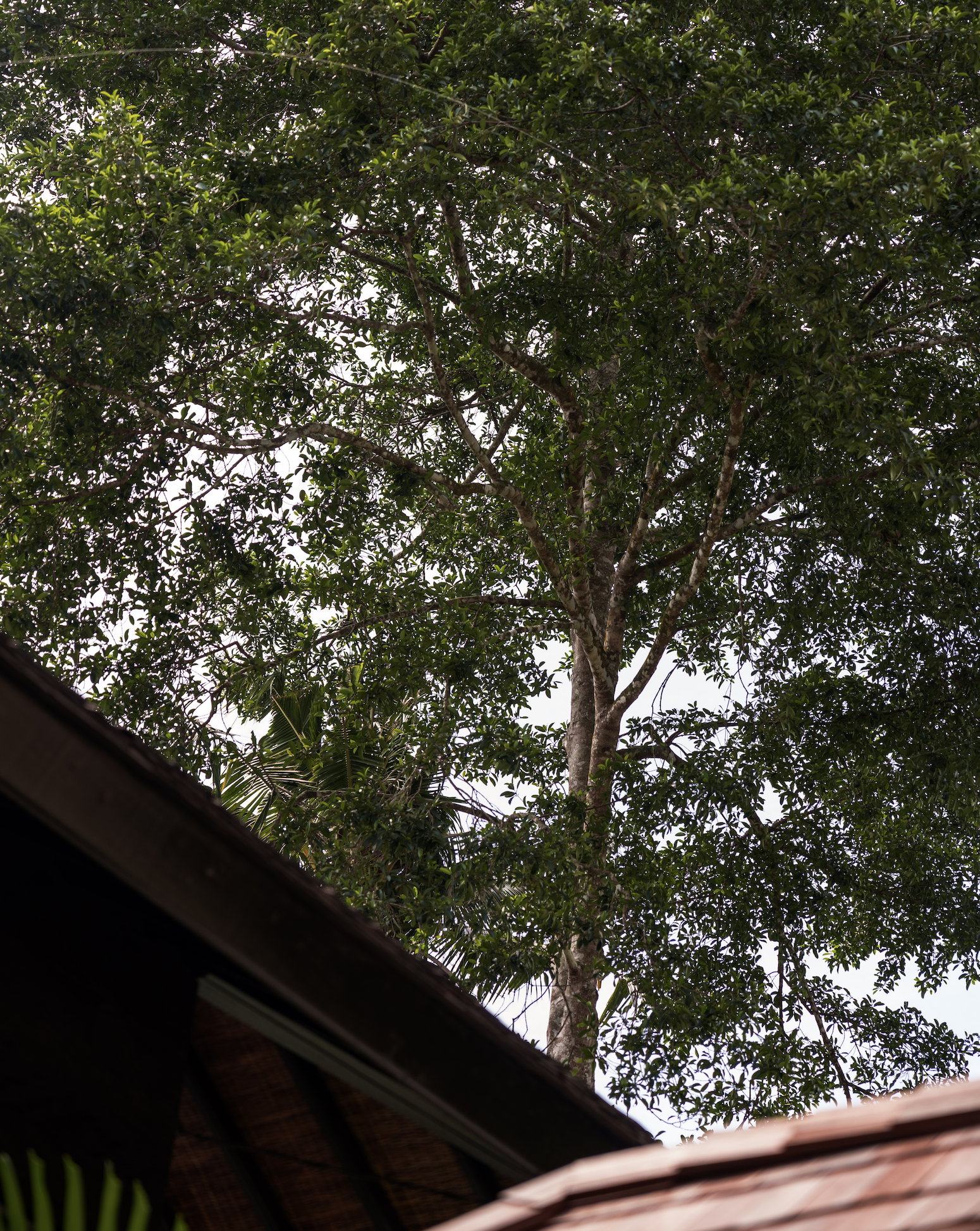 Capture d’écran 2026-02-01 à 21.09.42.png