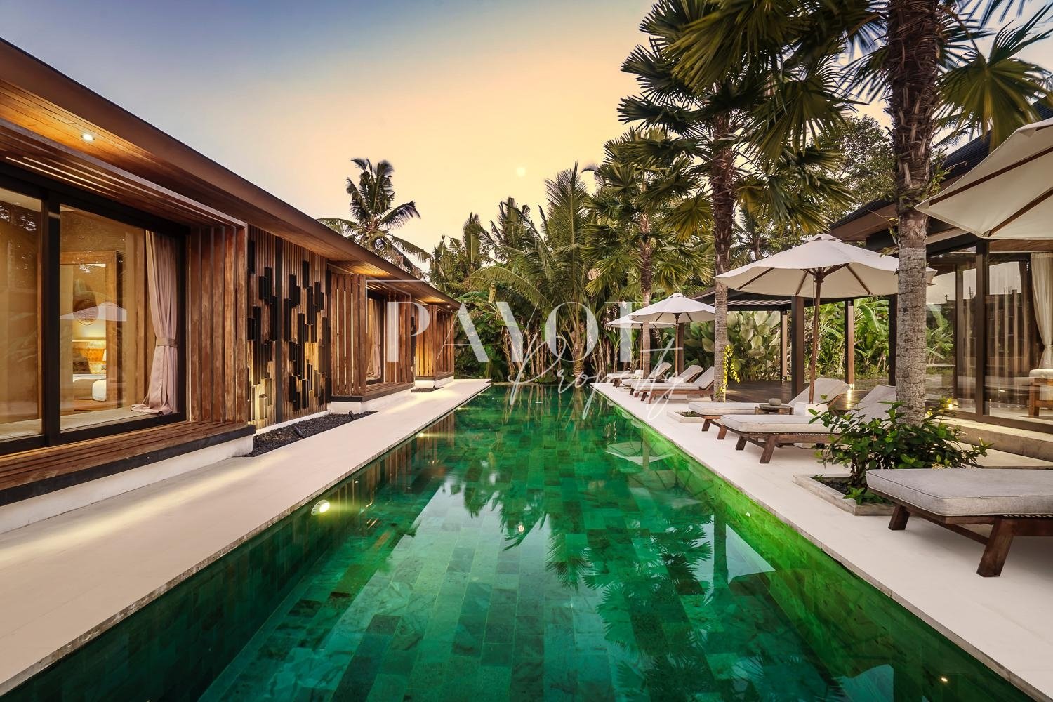 BALI VILLA FOR SALE Ubud Rice Field View
