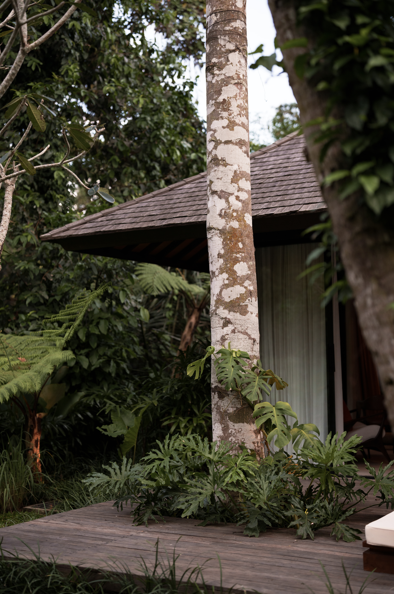 Capture d’écran 2026-02-01 à 21.12.51.png