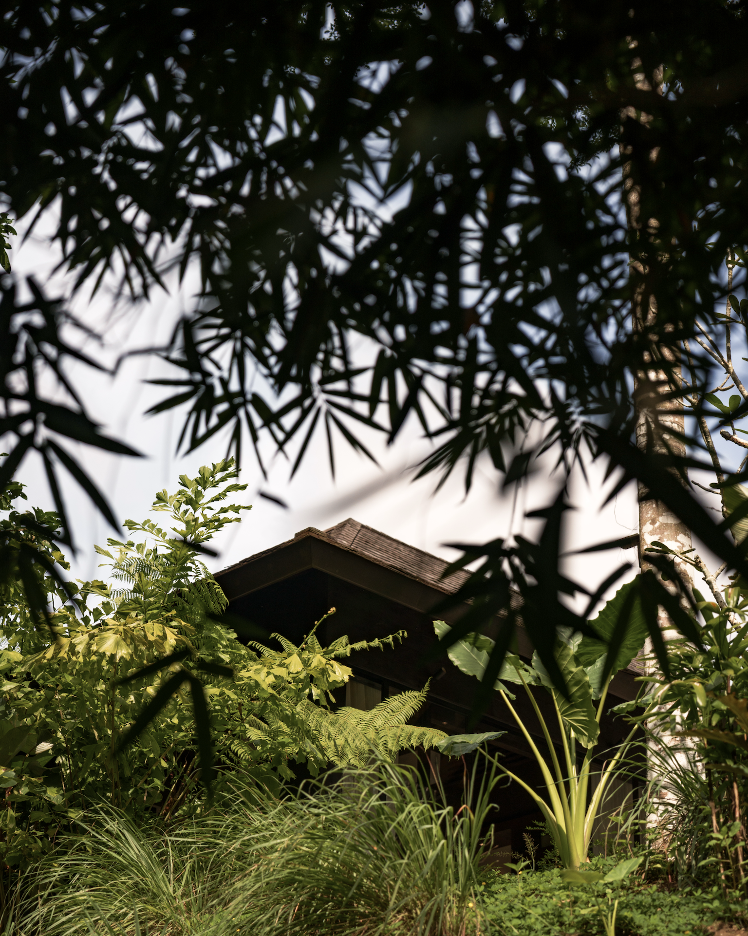 Capture d’écran 2026-02-01 à 21.02.21.png