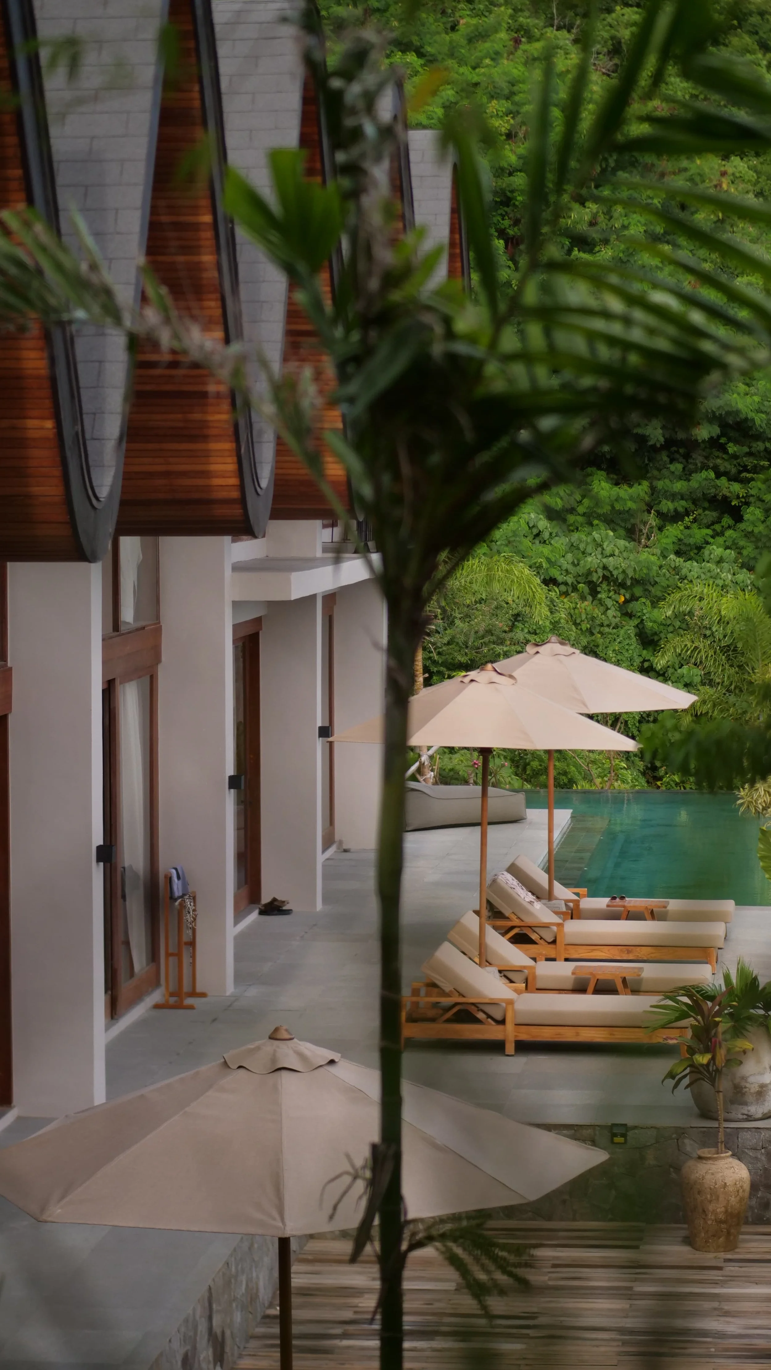 WhatsApp Image 2026-01-05 at 20.14.51.jpeg