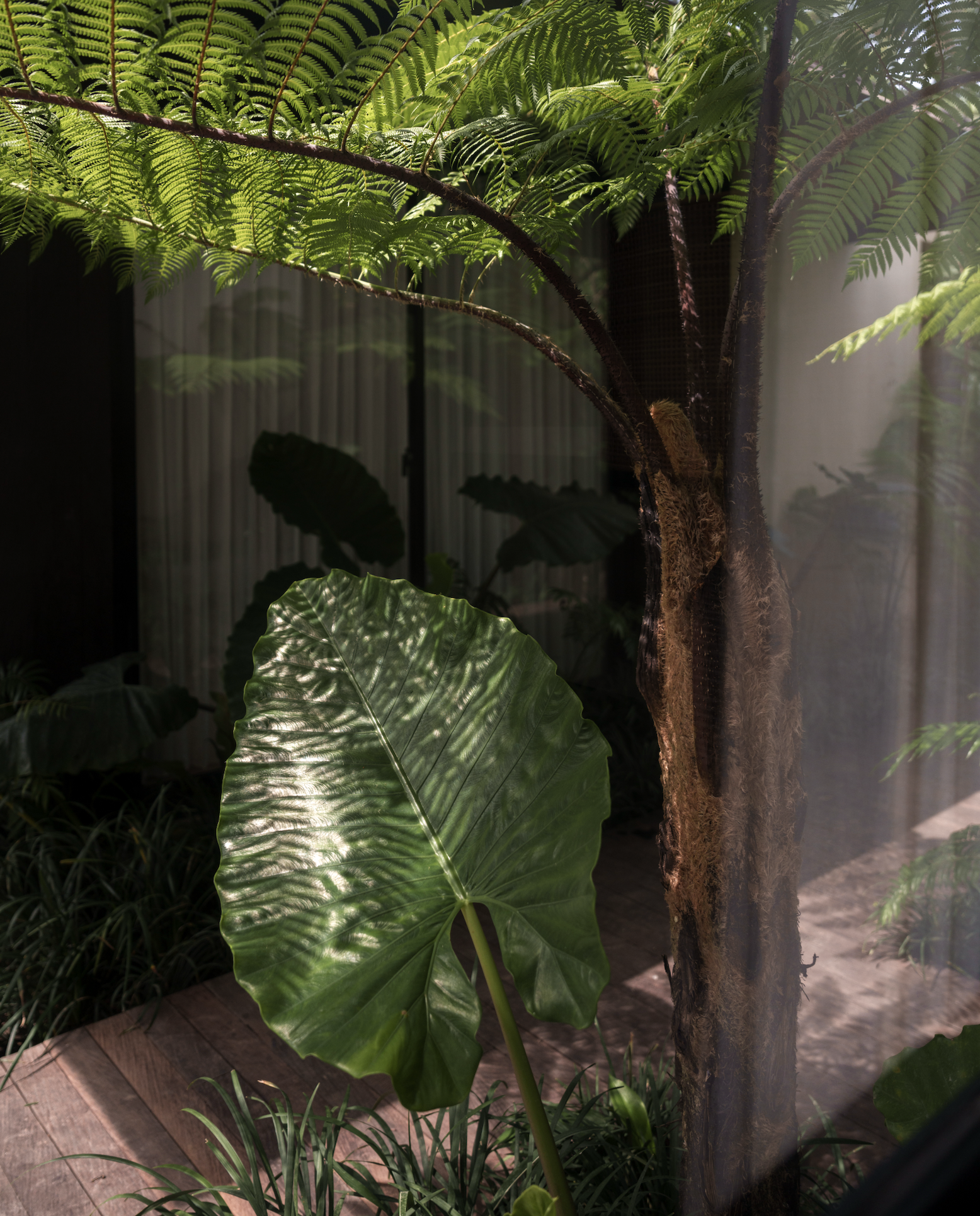 Capture d’écran 2026-02-01 à 21.04.36.png