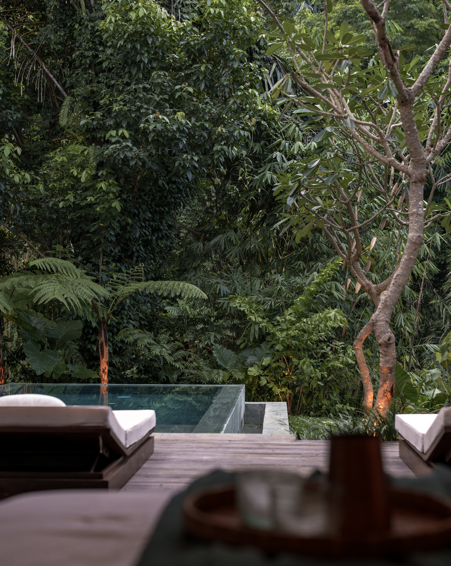 Capture d’écran 2026-02-01 à 21.12.36.png