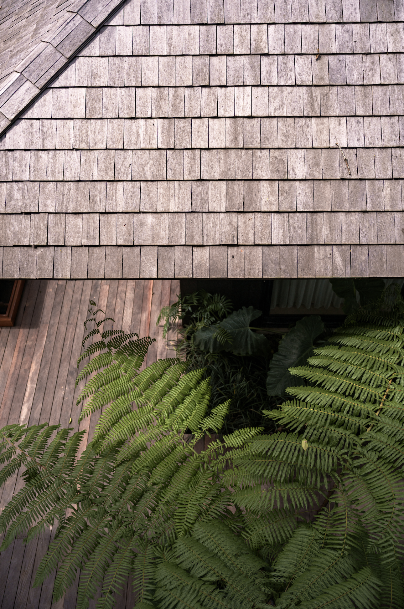 Capture d’écran 2026-02-01 à 21.08.26.png