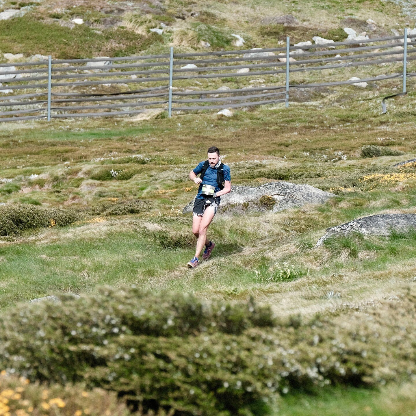 Rodney has past through Eagles Nest twice now and is on his way to summit Mount Kosciuszko. He is looking strong and having fun. 

@ultratrailkosciuszko

Run Rocket Run.

Run Rocket Run is supported by
@invictusaustralia 
#Resimac
@parramattajaguarla