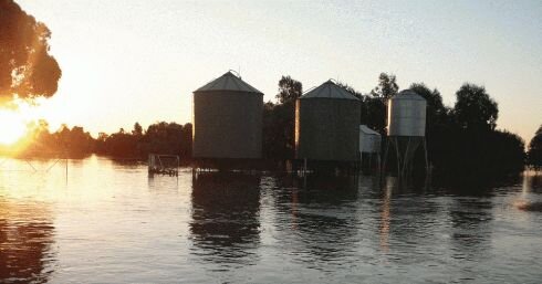 Primary Producer Concessional Loans remain available to farmers impacted by the floods.

Concessional loans of up to $250,000 will help farmers restore or replace damaged equipment and infrastructure, or to cover the short-term business expenses.

Fo