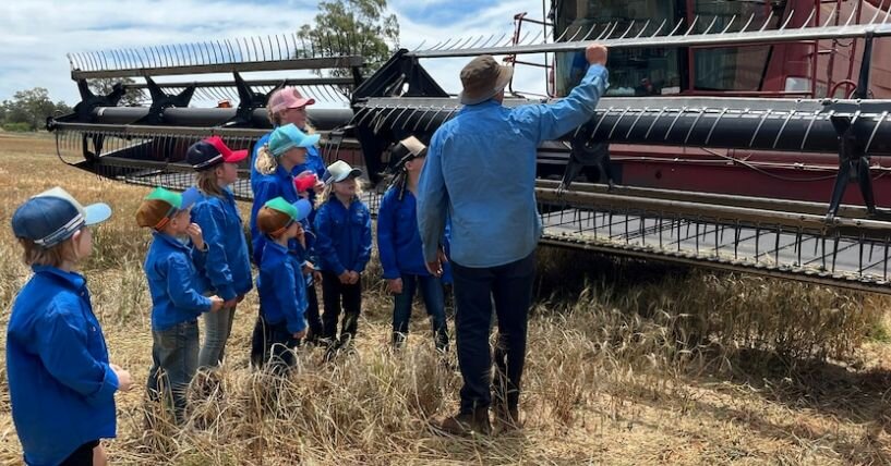 Hermidale Public School's first wheat crop to sell for $50,000, fund excursions 🌾

When the students at Hermidale Public School in western New South Wales planted 85 hectares of wheat at the beginning of the year, harvest seemed a lifetime away.

Th