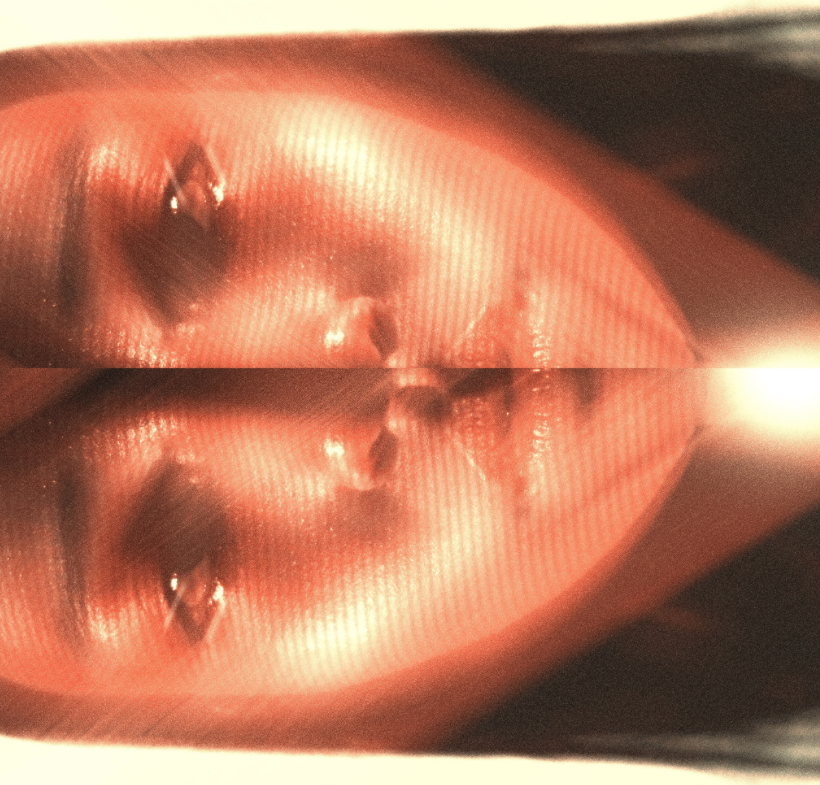 Screen Shot 2022-06-03 at 8.16.52 PM.png