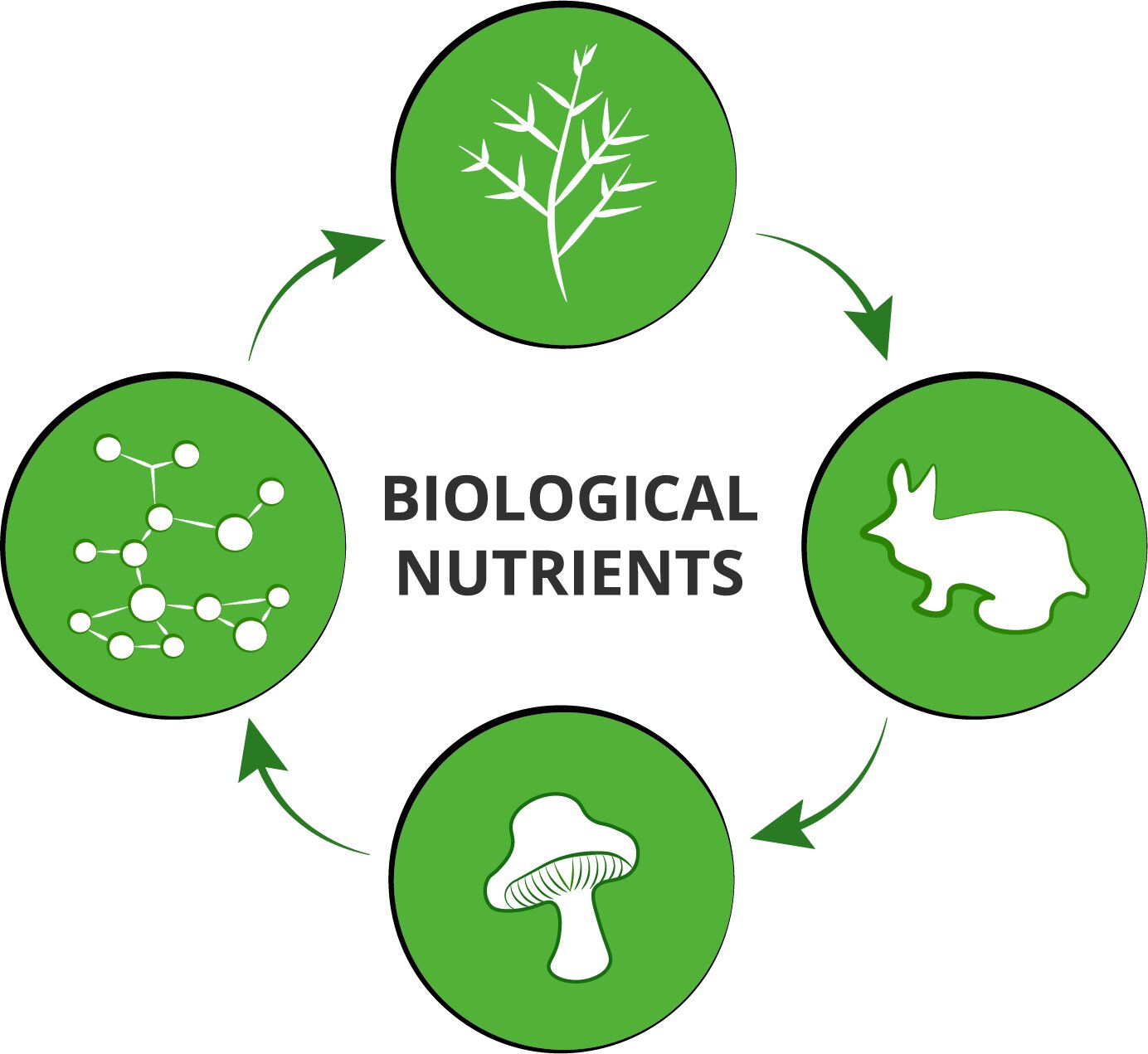 Biological Nutrients Diagram.jpg
