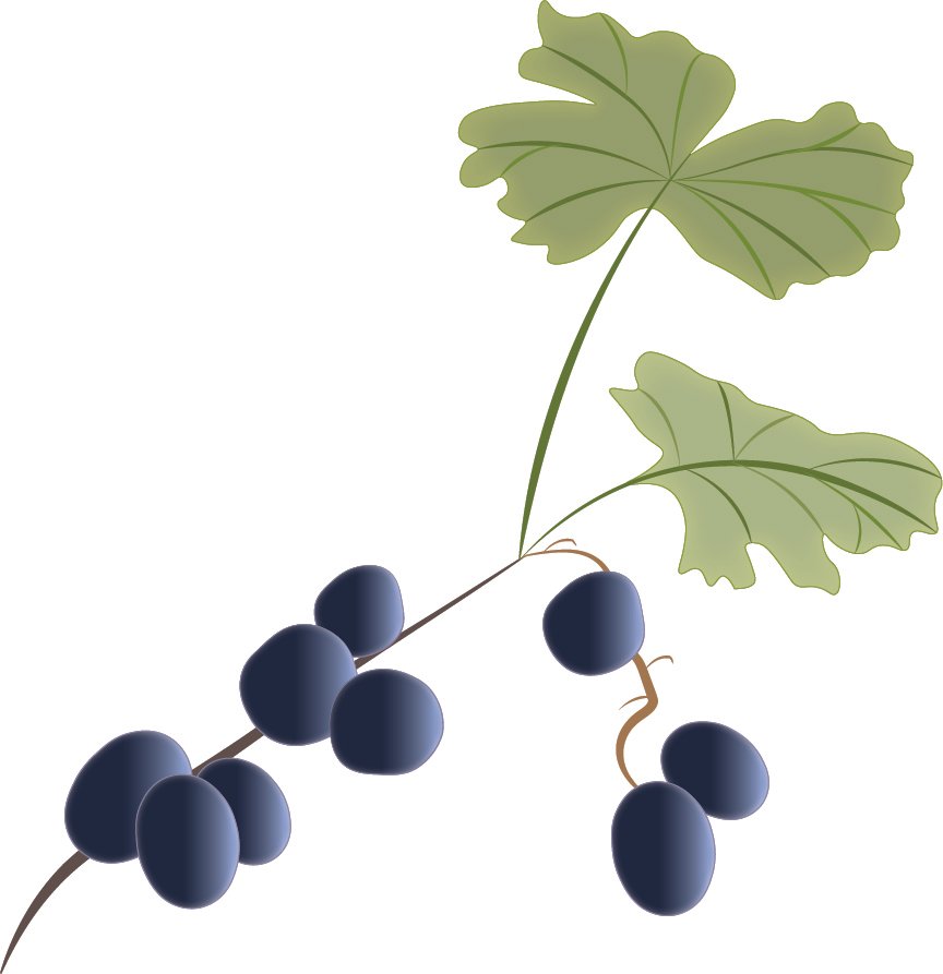 Prickly Current Bush.jpg