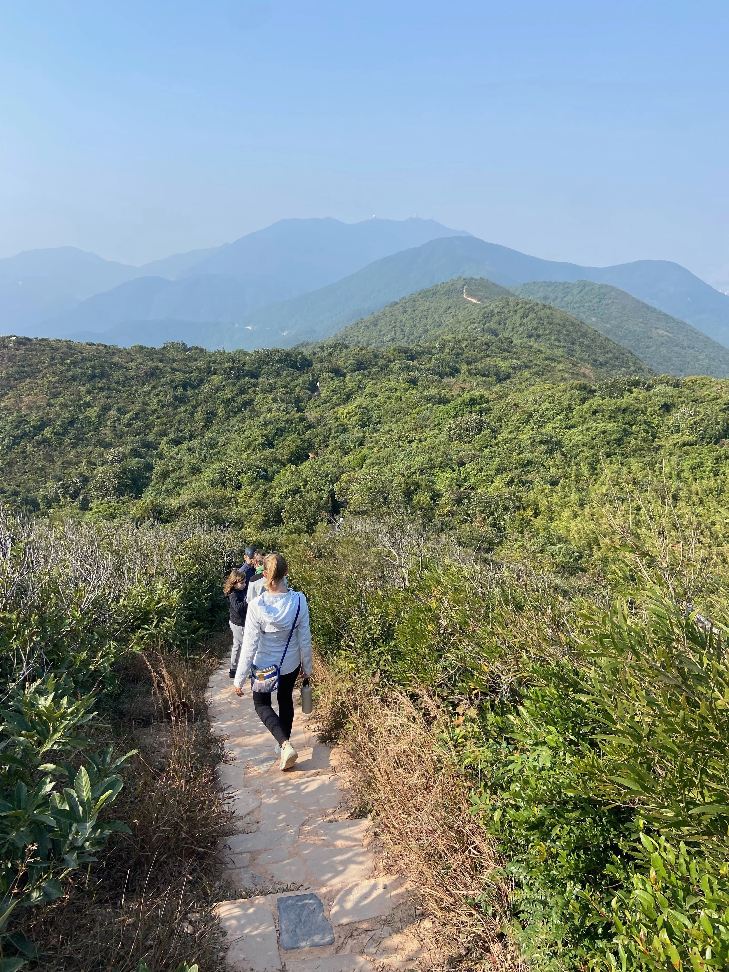 Your Guide to Dragon’s Back Hike: Best Views in Hong Kong
